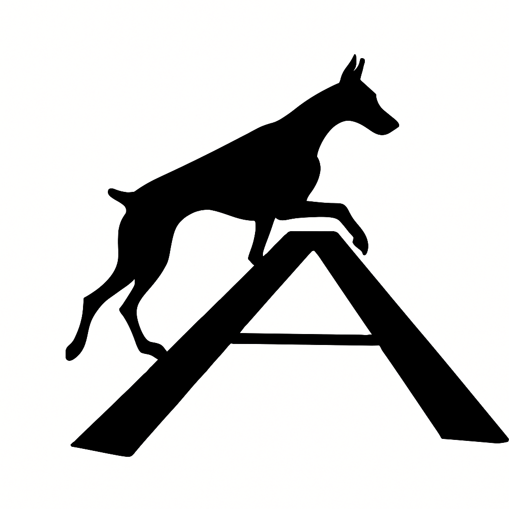 Dobermans in Agility: Energy, Brains, and the Benefits