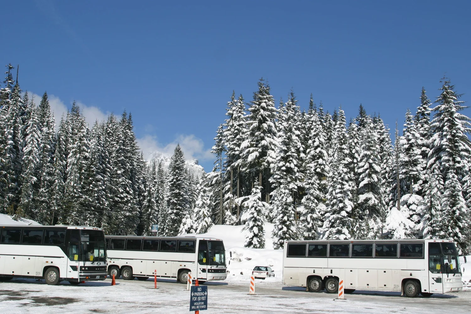 Snow Bus Bay Area Snow Bus