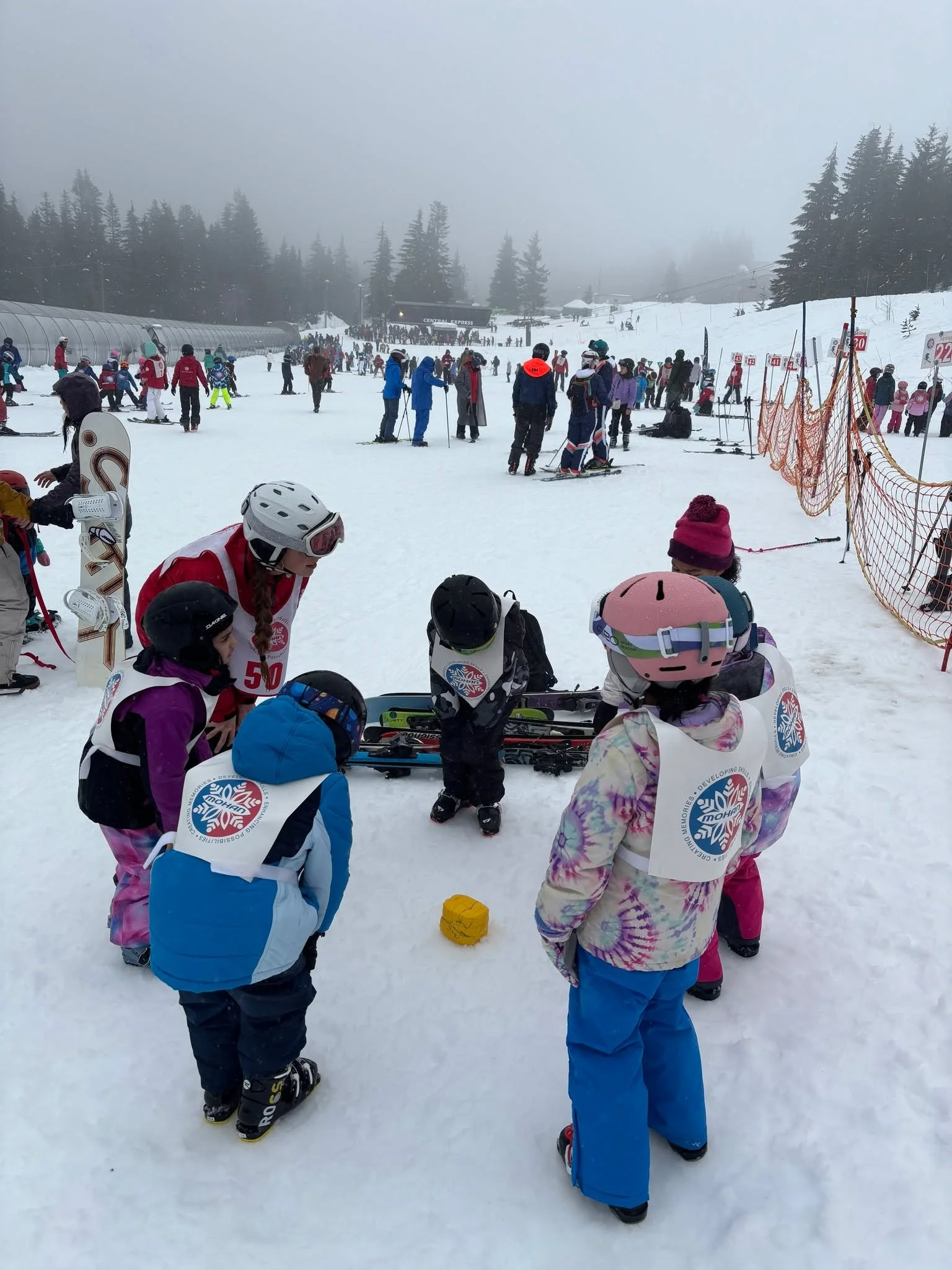 Huddle up, team Mohan, we have some news.

It looks like winter is taking a short break, so we are are being forced to also. Due to insufficient snow coverage, we won't be able to hold ski lessons scheduled this Saturday and Sunday, Jan 24th and 25th