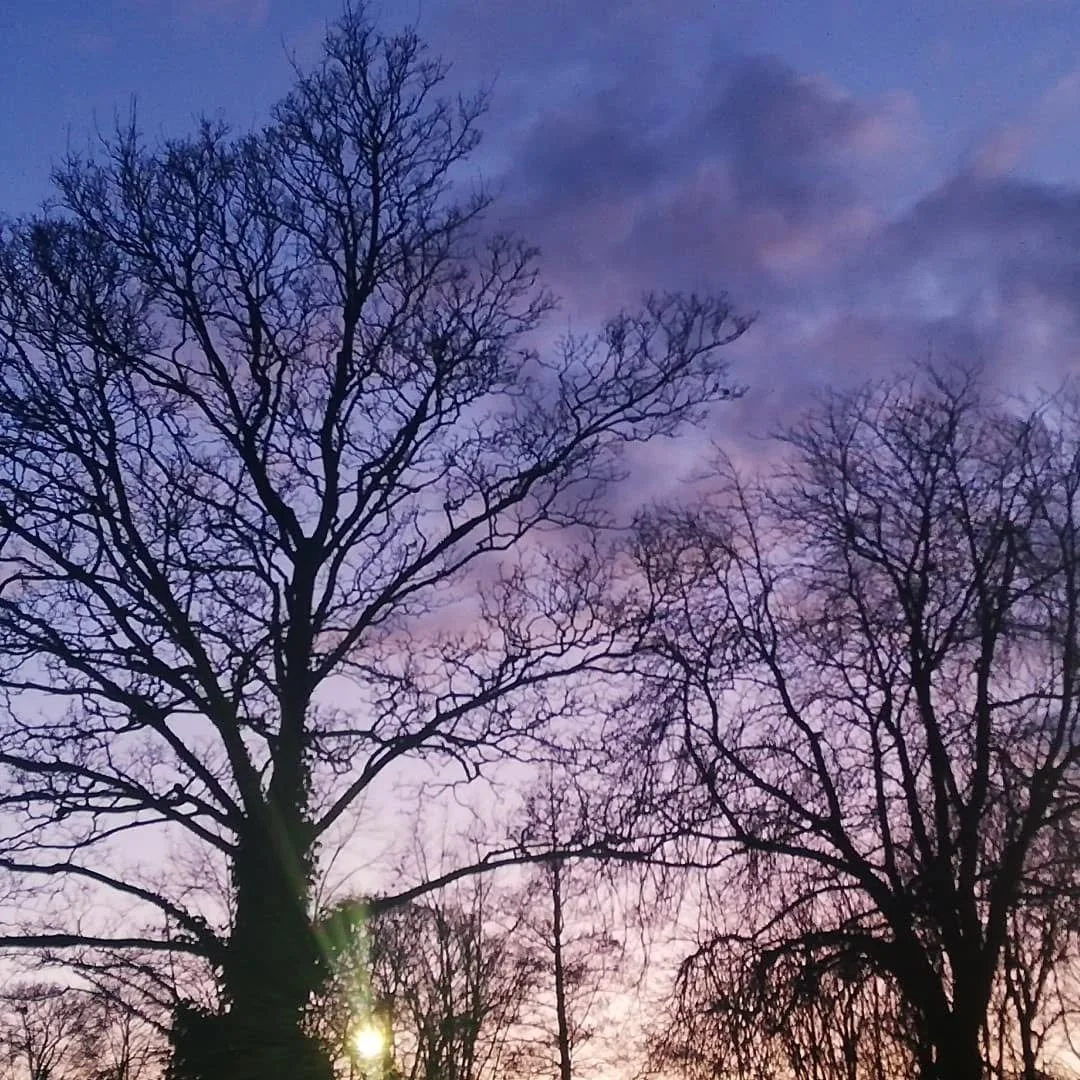 God I'm loving this Spring weather and the lighter evenings, they are so energy-giving!
But a few weeks ago I was also loving my longer walks home from work through twilight skies, ah....the colours / winter branch shapes, yum. And I was also enjoyi