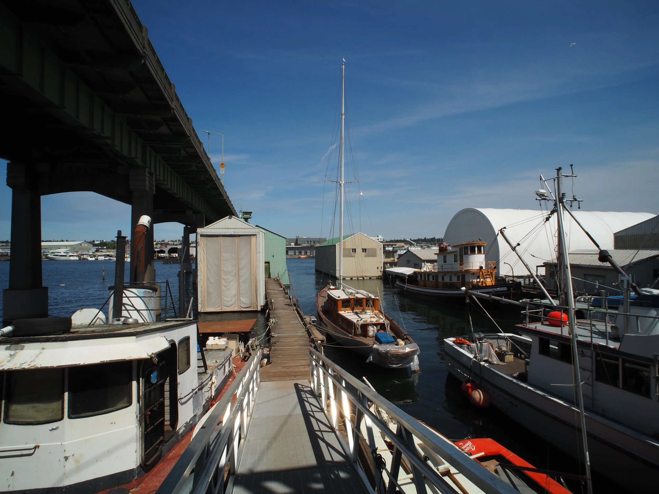 View of dock space underneath the Ballard Bridge. Various wooden sail and power boats are moored awaiting repair