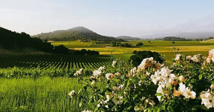 It&rsquo;s not too late to plan Spring Break🌞  Enjoy wine country at its most serene at Meadowood Napa Valley, wellness and warmth at Rancho Valencia, sun-soaked days at Baja Club in La Paz, or alpine luxury at One&amp;Only Moonlight Basin in Big Sk