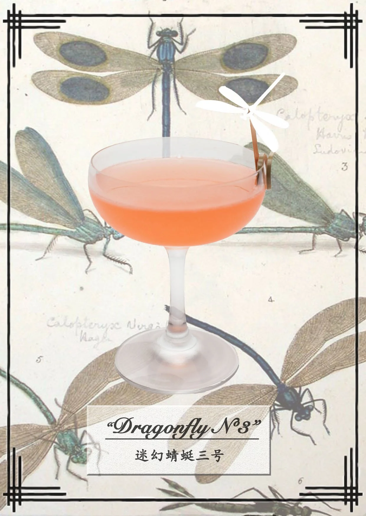 Dragonfly N*3