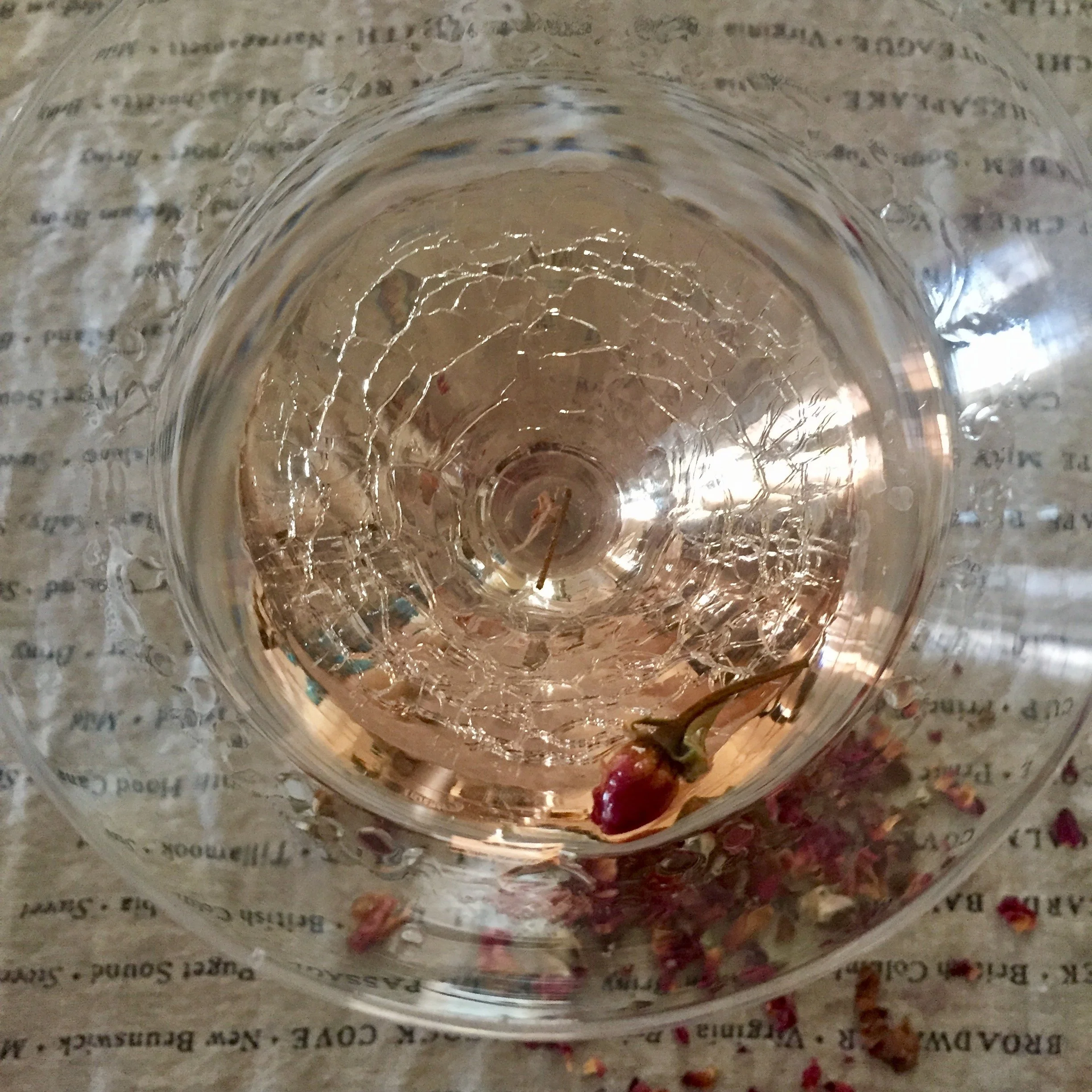 Pink gin and roses 2.jpg