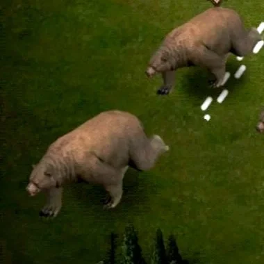 クマの怒り