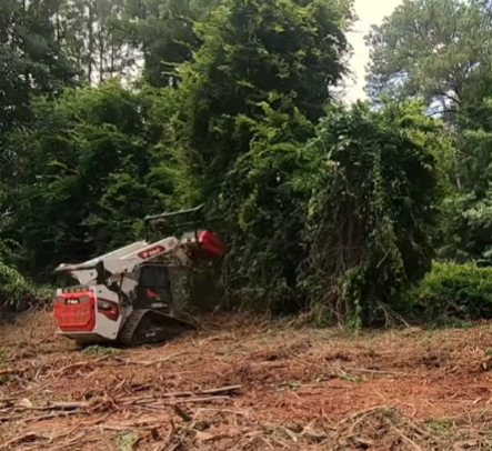 Brush Clearing in Anderson, SC: Taking Back Overgrown Land