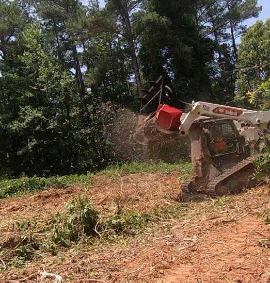 The Best Time of Year to Clear Land in Anderson County (And Why Most People Get It Wrong)