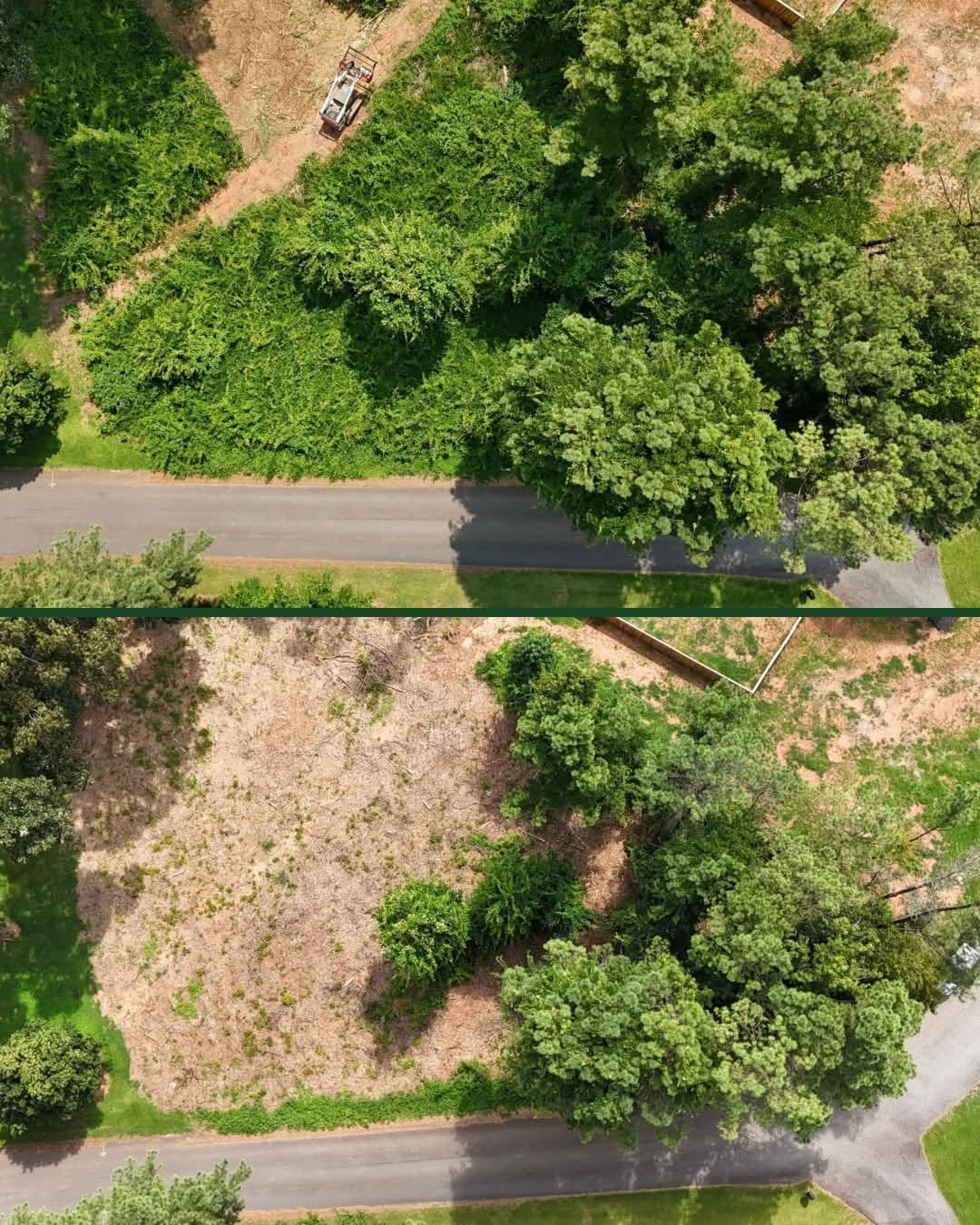 Forestry Mulching for Brush Control: What Property Owners Need to Know