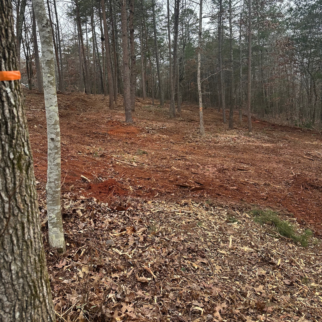 After forestry mulching and land clearing project on a residential lot in Anderson, SC showing cleared land, improved property access, enhanced visibility, and removal of brush and small trees for future use and development.