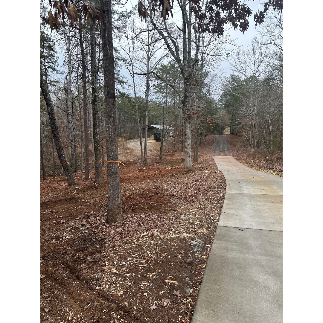 AFTER: Downed trees cleared, view and access fully restored