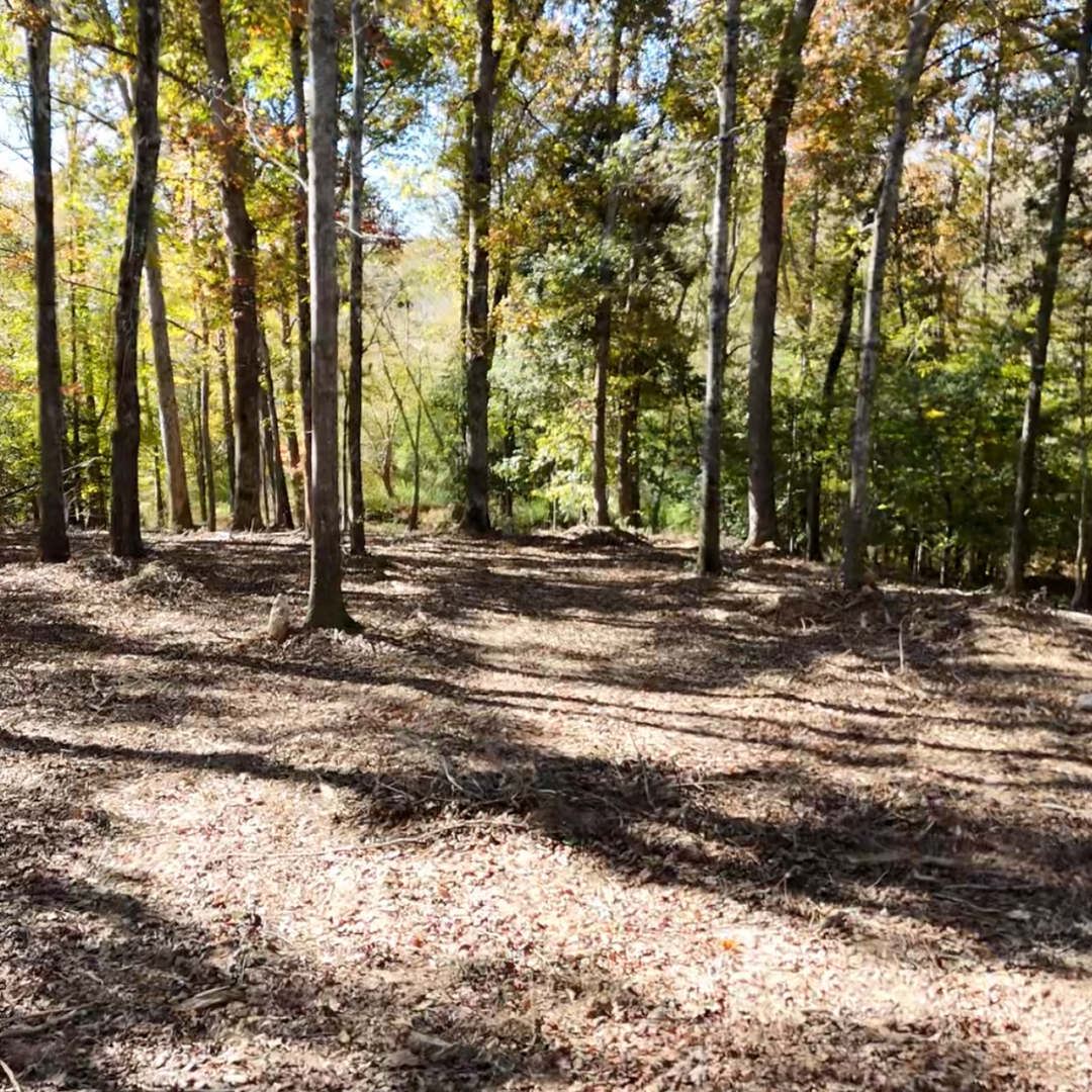 2-acre land clearing project in Anderson, SC completed with forestry mulching to remove brush, small trees, and overgrown vegetation, creating a clean, accessible, and usable property.