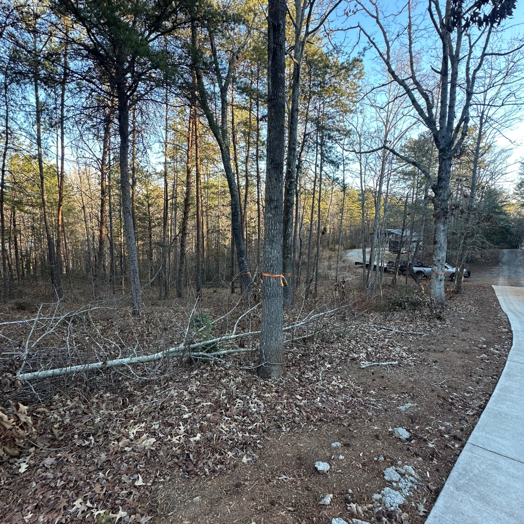 A wooded area with trees and fallen leaves, with some branches on the ground and a dirt path on the right side of the image, a parked vehicle in the background, and a house visible in the distance.