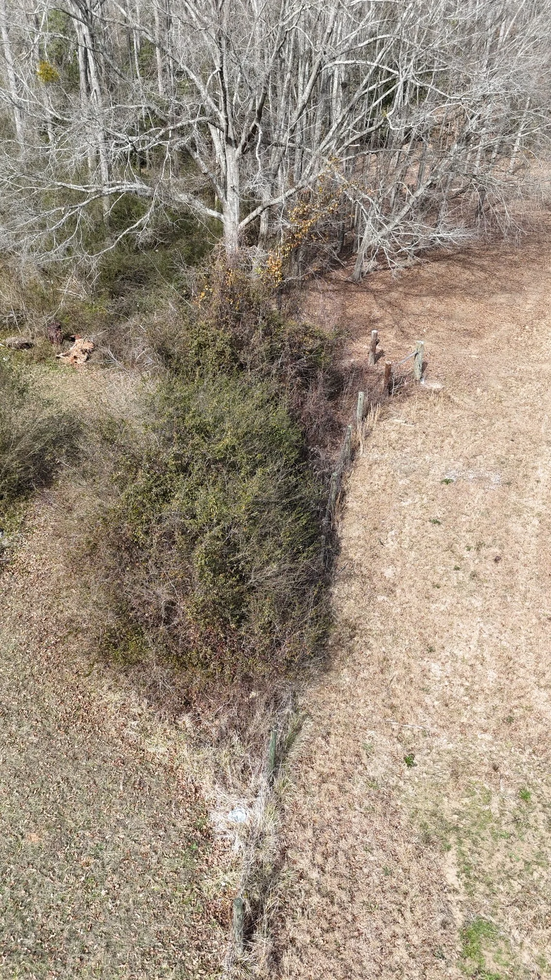 Before land clearing and forestry mulching project in Anderson, SC showing overgrown brush, small trees, dense vegetation, and unmanaged acreage prior to site improvement and property restoration.