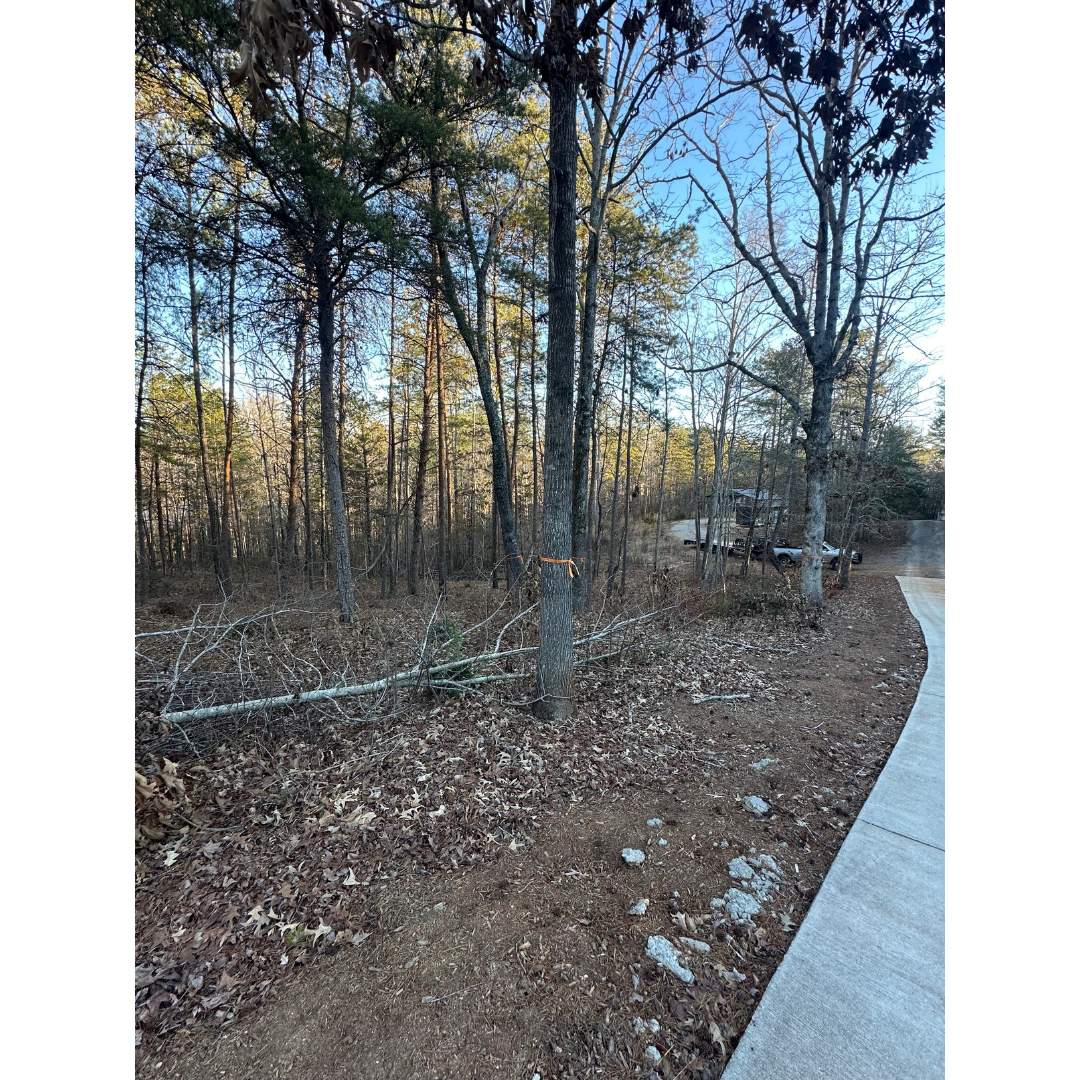 BEFORE: Downed trees limiting view and access in Anderson, SC