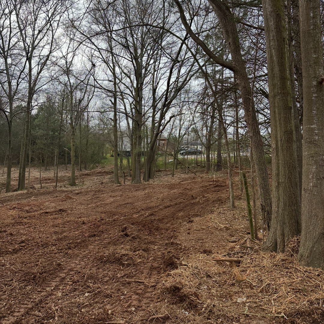 A cleared dirt area in a wooded backyard with trees and houses visible in the background on an overcast day