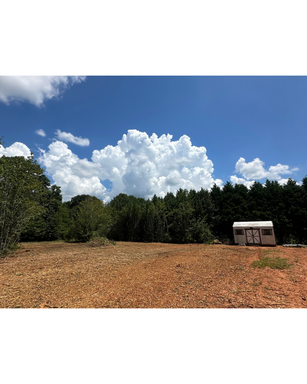 AFTER: Land cleared and access restored