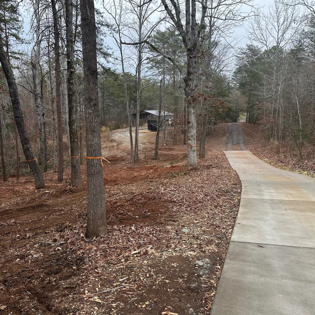 A dirt and concrete driveway winding through a wooded area with leafless trees and a small shed in the distance.