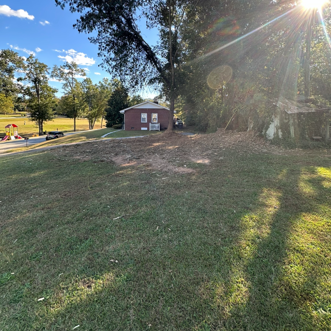 After residential forestry mulching project in Anderson, SC showing a cleared backyard with improved visibility, removed brush and small trees, enhanced property access, and a clean, well-maintained landscape.