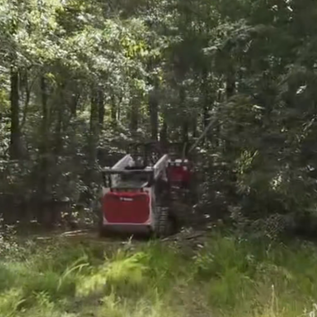 Before 2-acre land clearing project in Anderson, SC showing dense brush, overgrown vegetation, and small trees prior to forestry mulching and property improvement services.