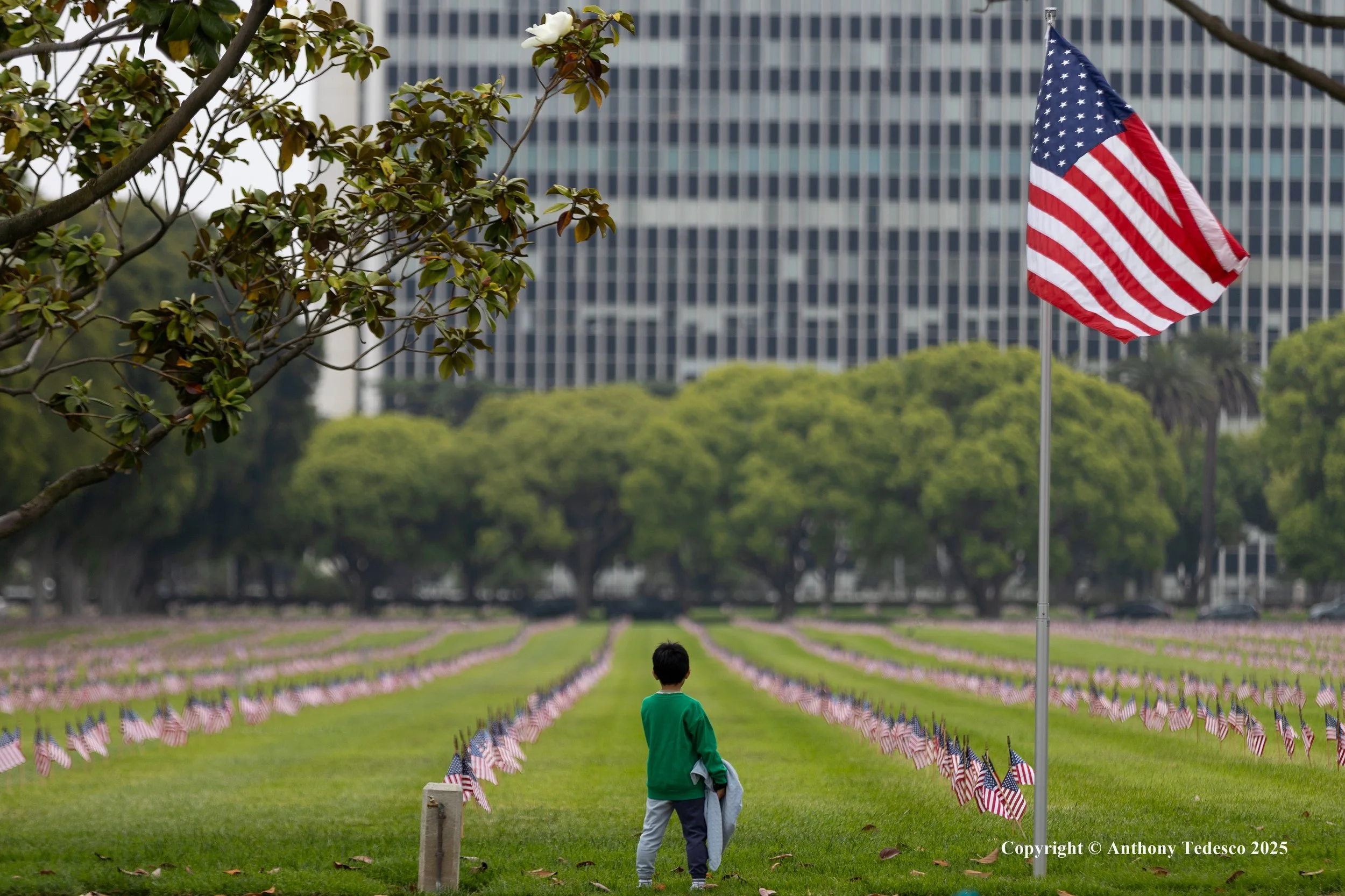 A young boy standing in a park filled with numerous small American flags, with a large American flag on a tall pole nearby, in front of a cityscape with tall buildings and trees.