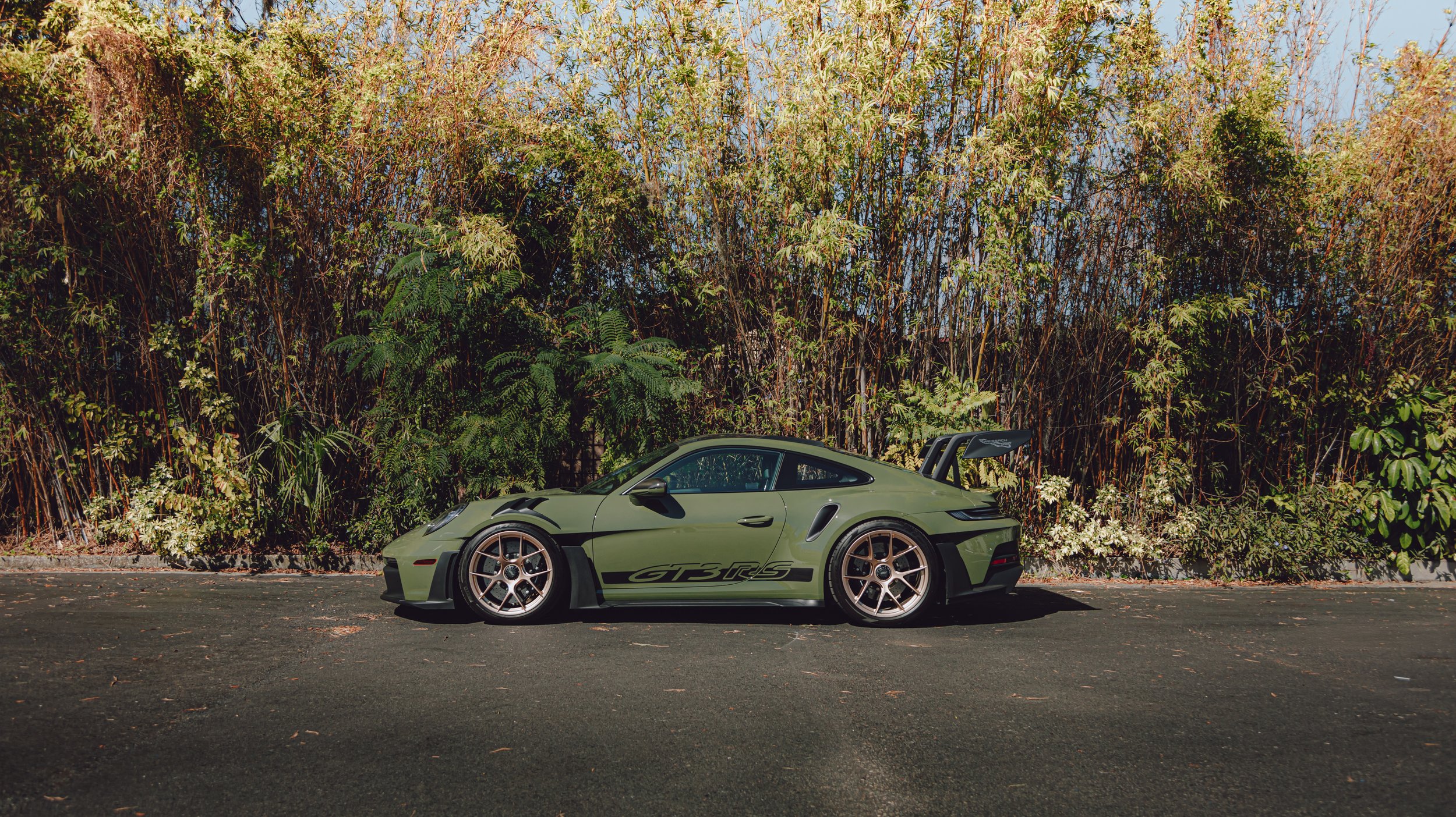 gt3rs bamboo.jpg