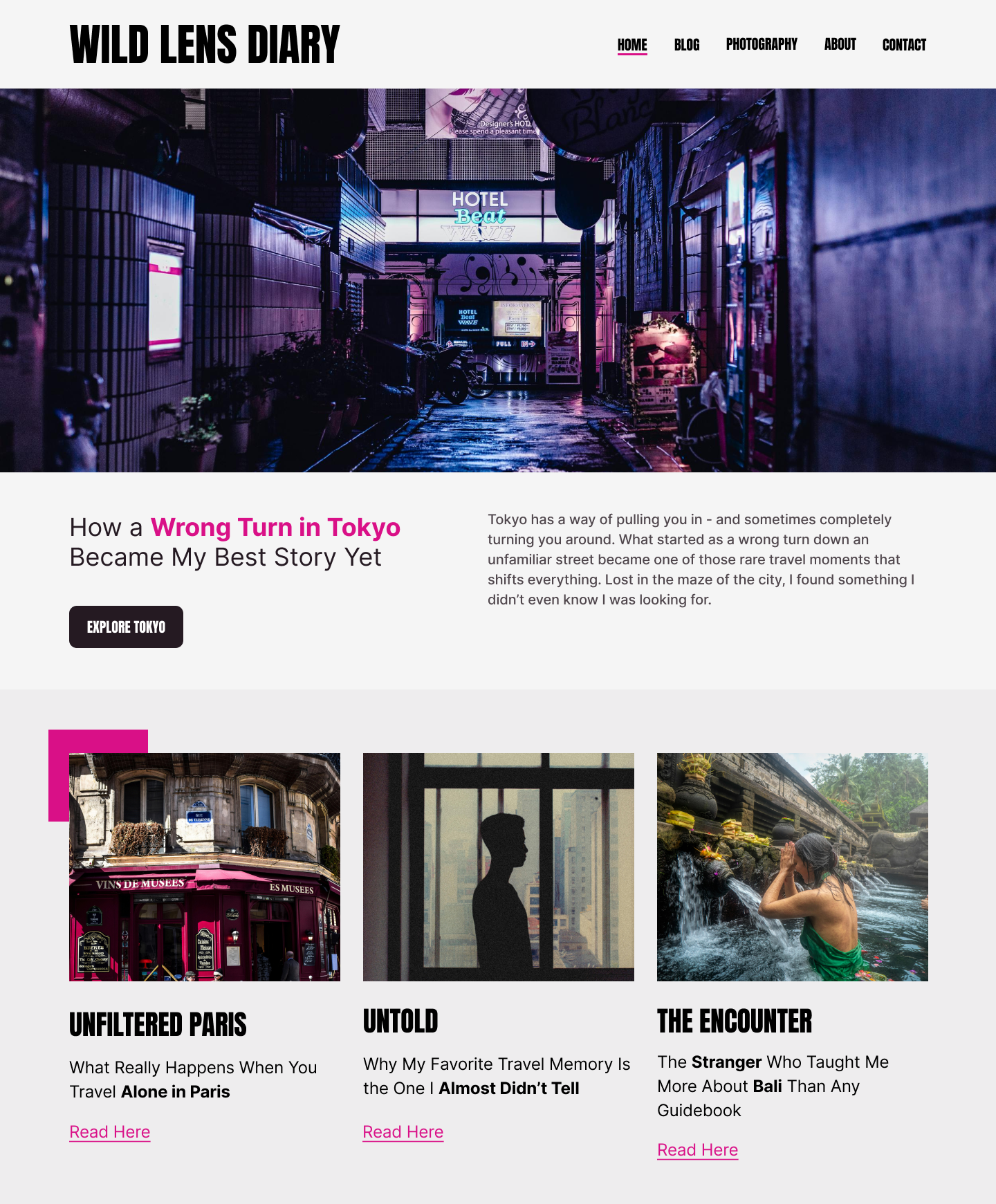 Website Design: Wild Lens Diary