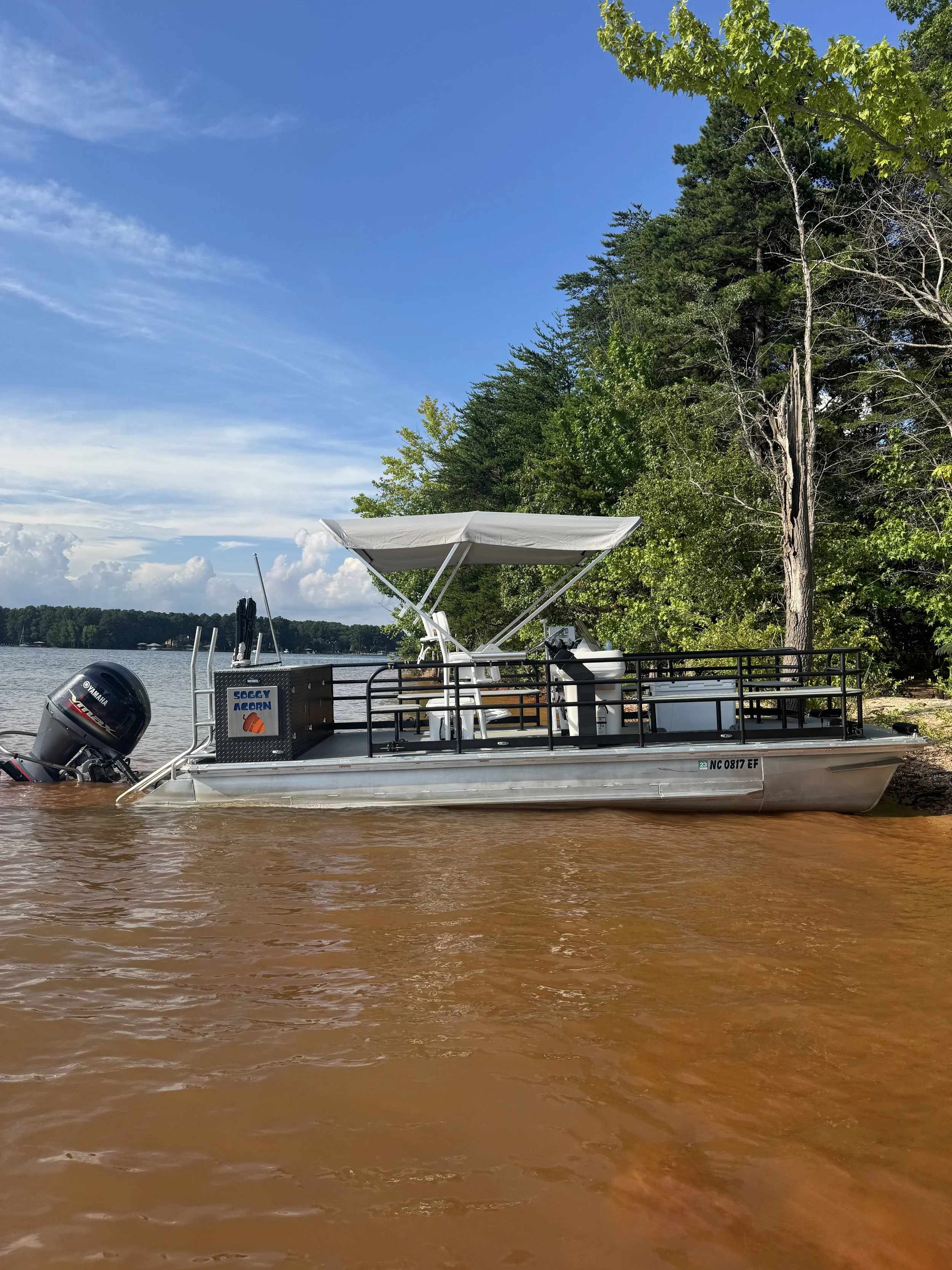 Silver pontoon boat with a canopy moored at a lakeshore, surrounded by green trees with a cloudy sky overhead.
