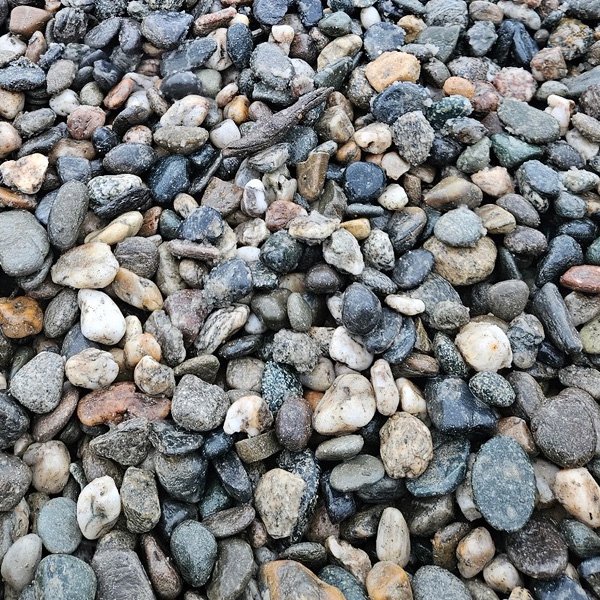 A close-up view of a variety of small, multicolored pebbles and stones on the ground.