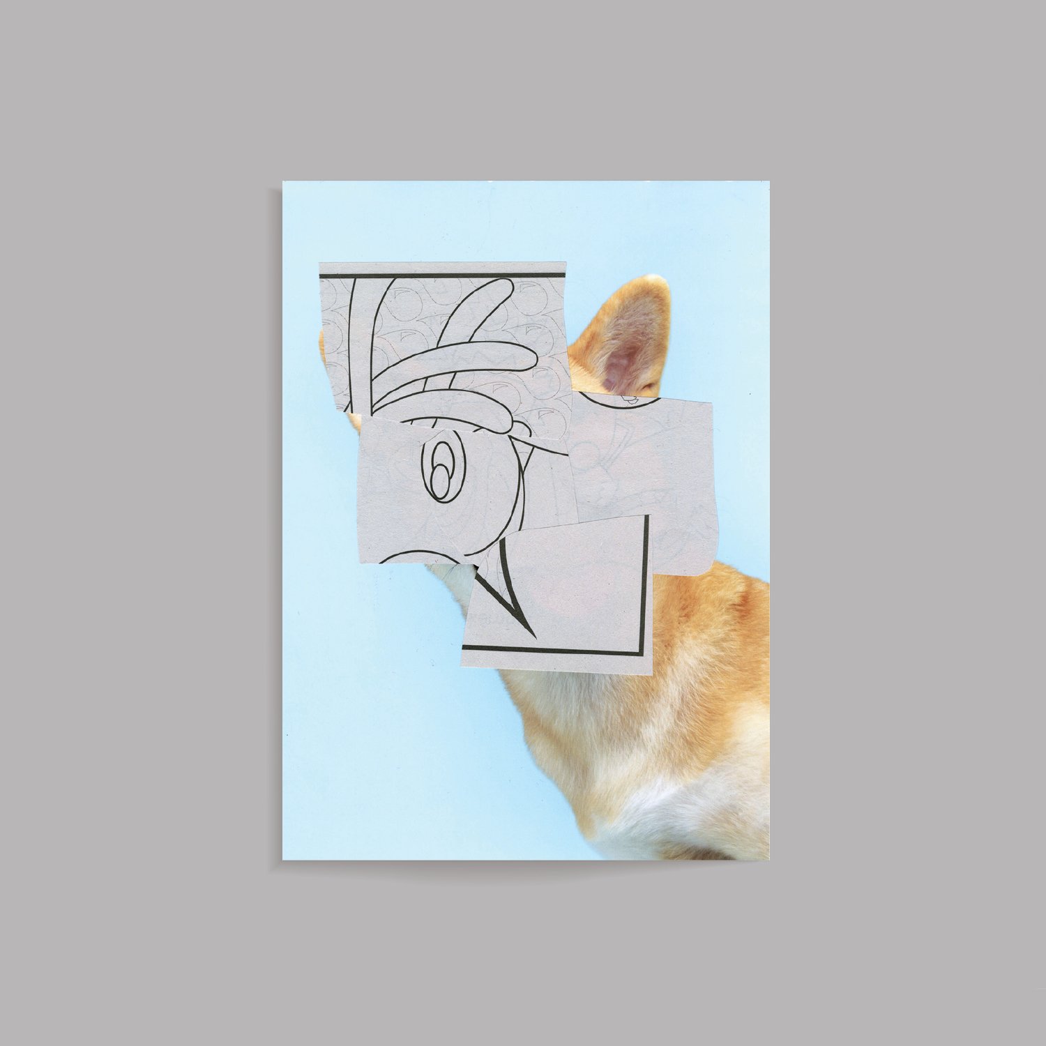 Cool Pets5.jpg