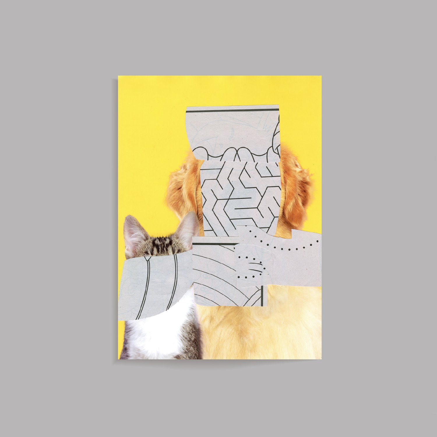 Cool Pets4.jpg