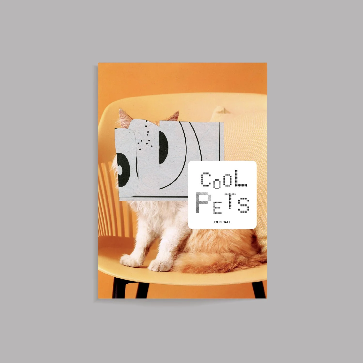 Cool Pets.jpg