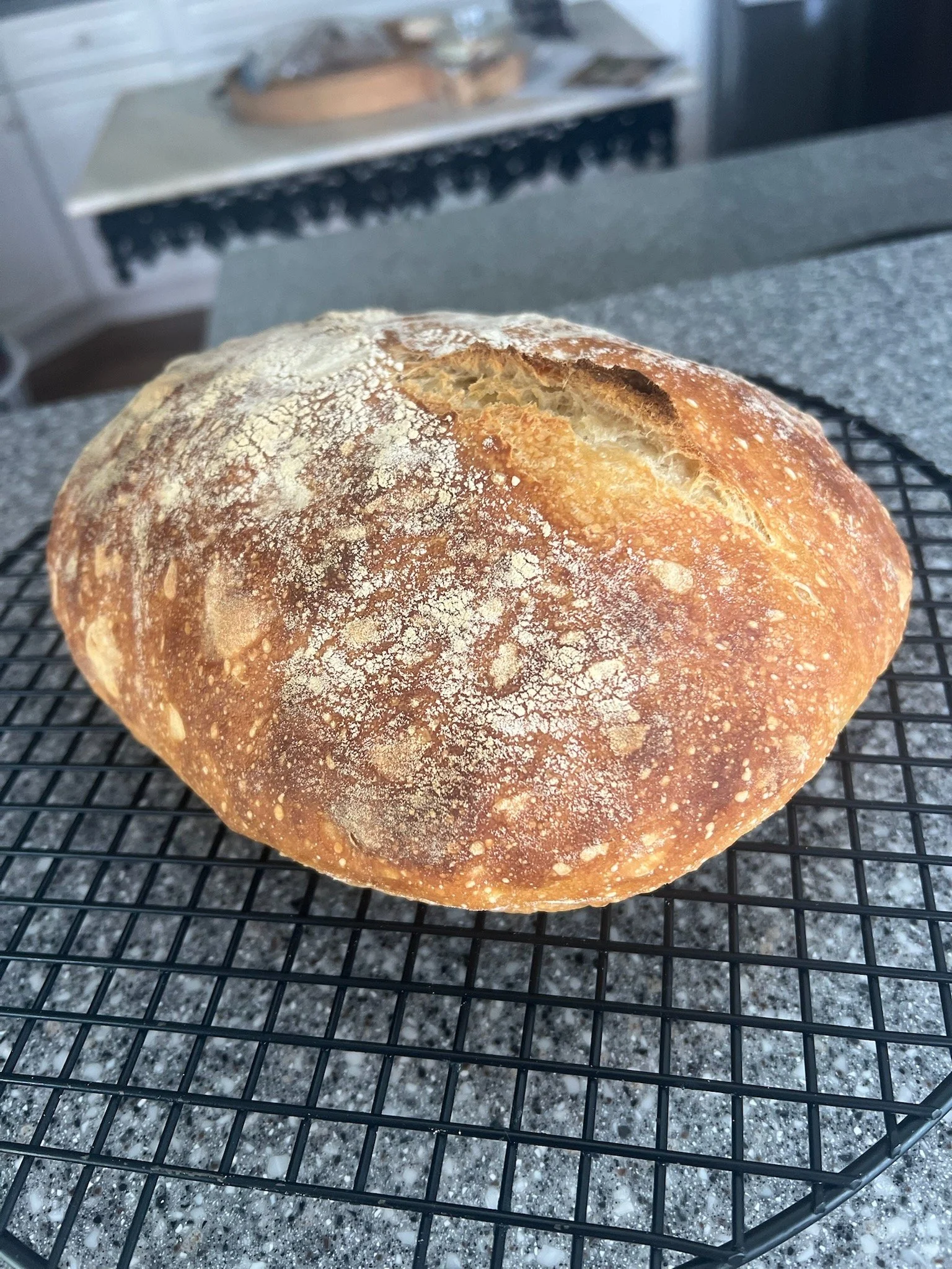 Fresh ciabatta