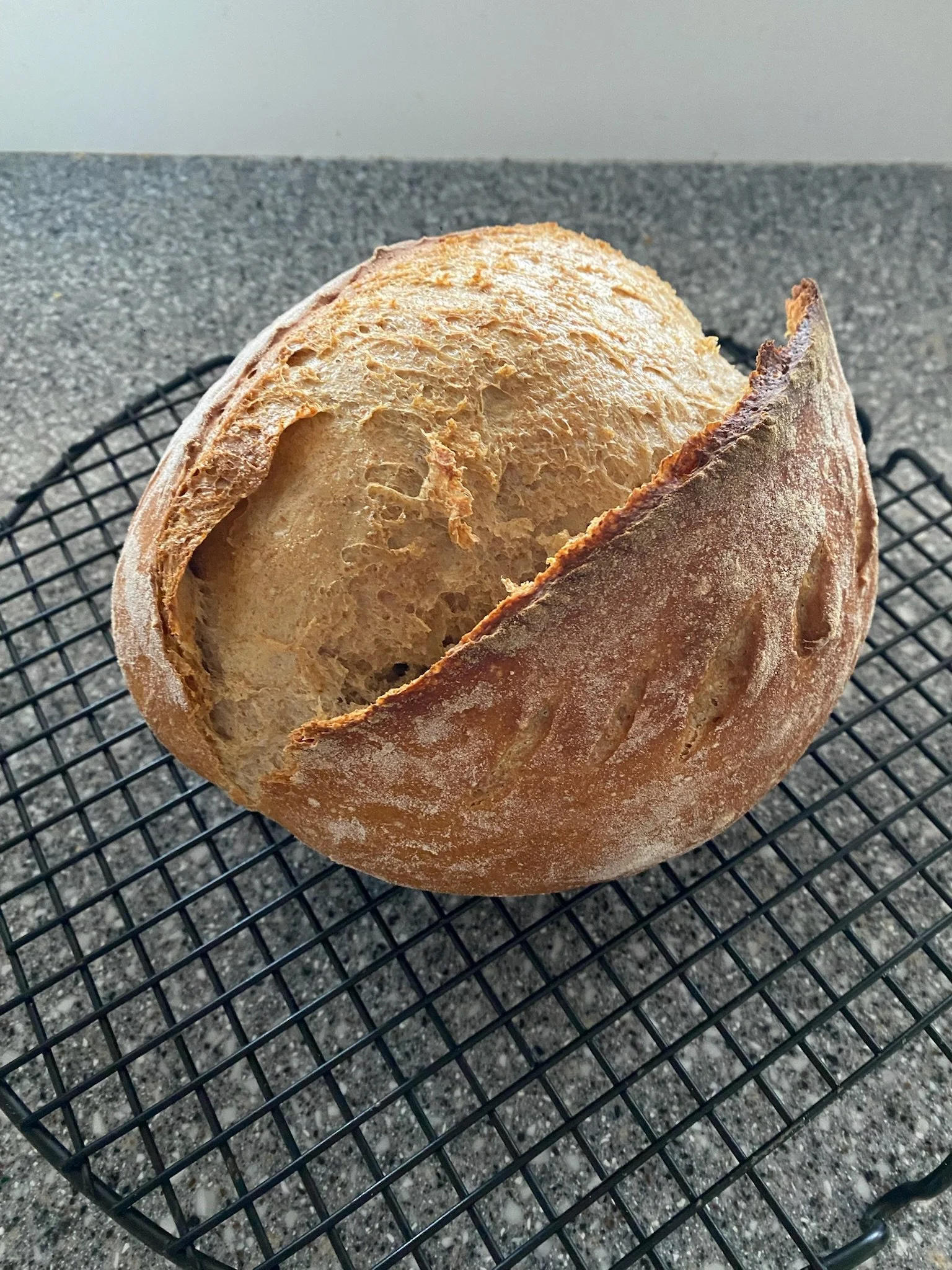 Fresh artisanal loaf