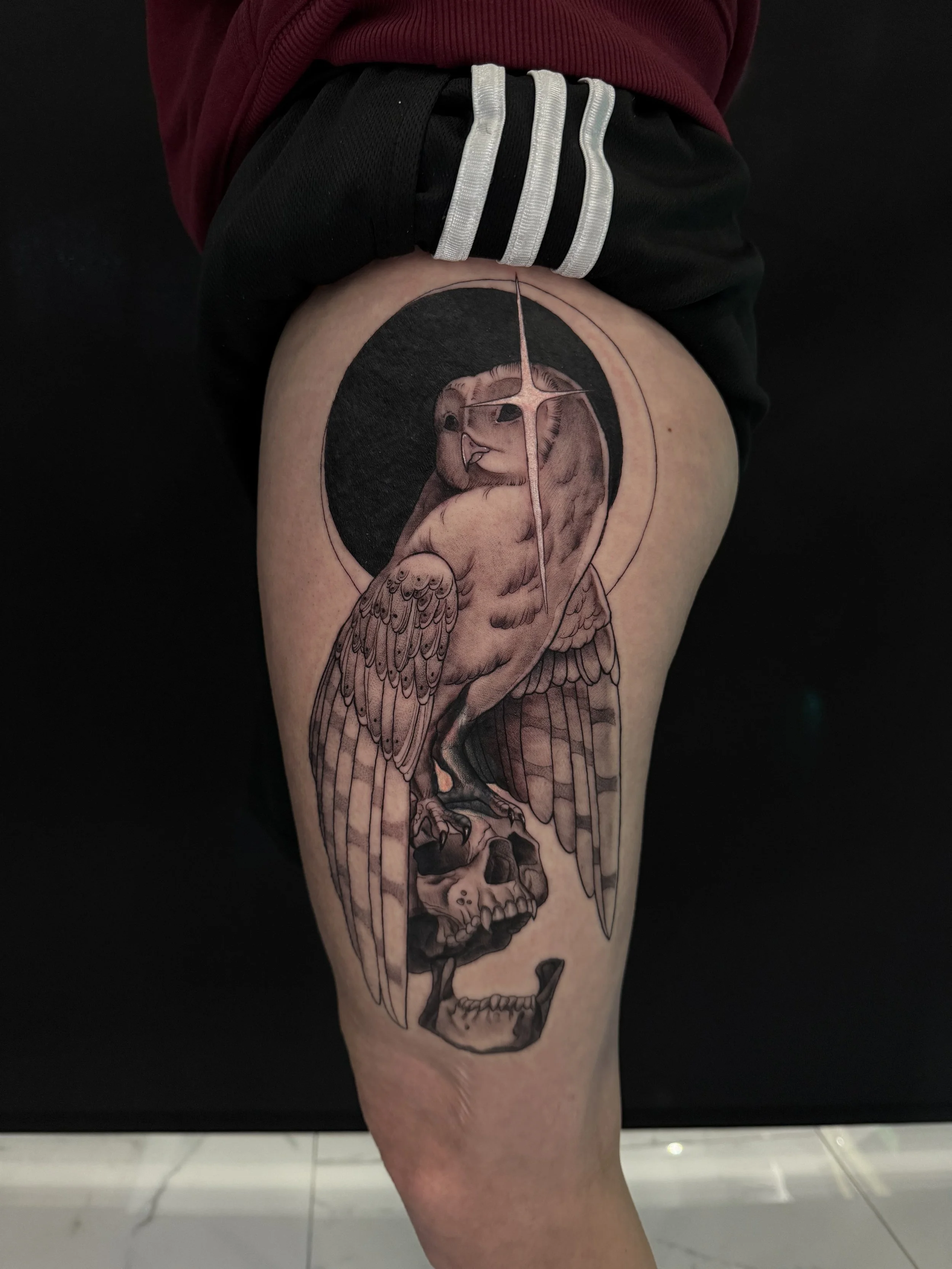 Black and grey owl on skull