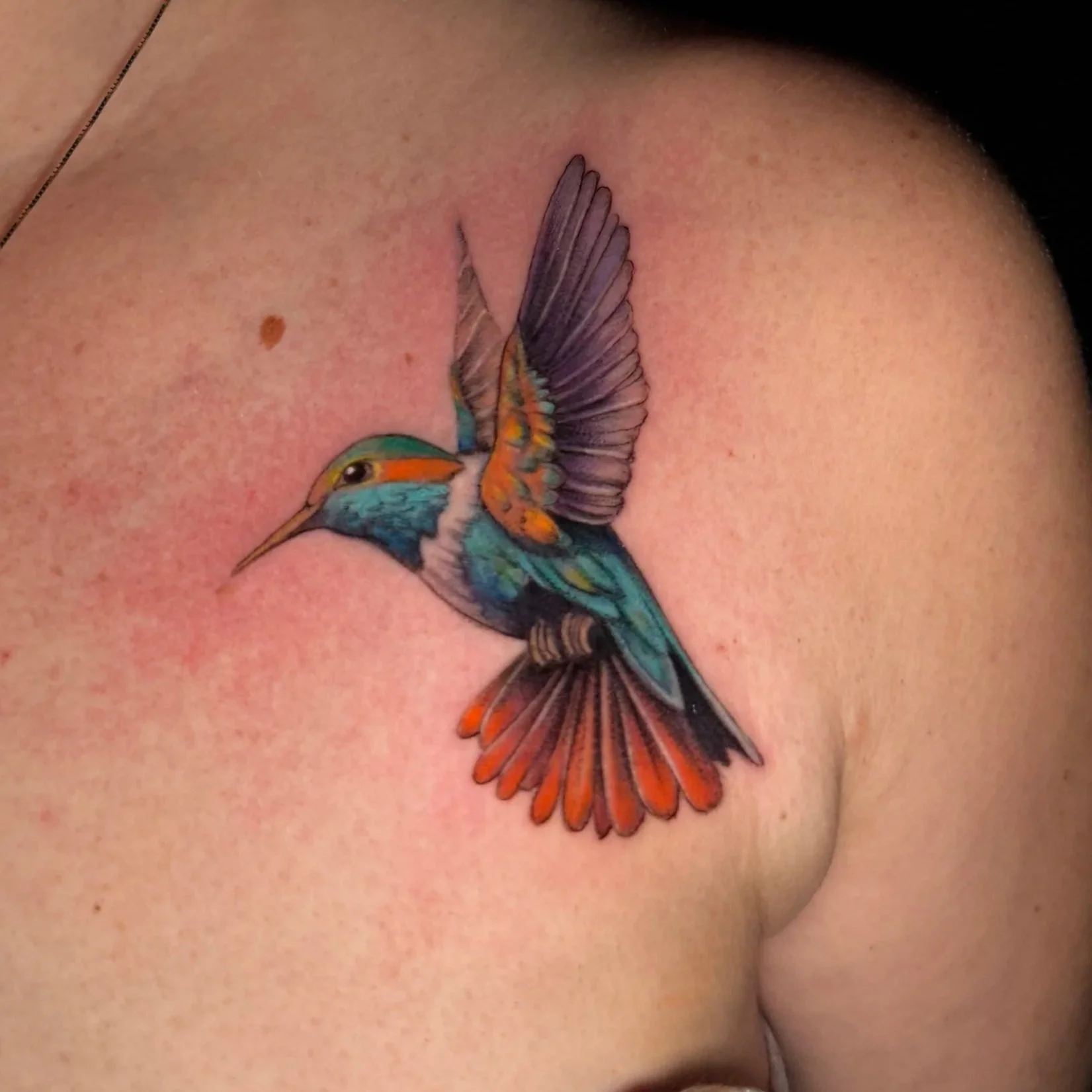 hummingbird.colorillustrative