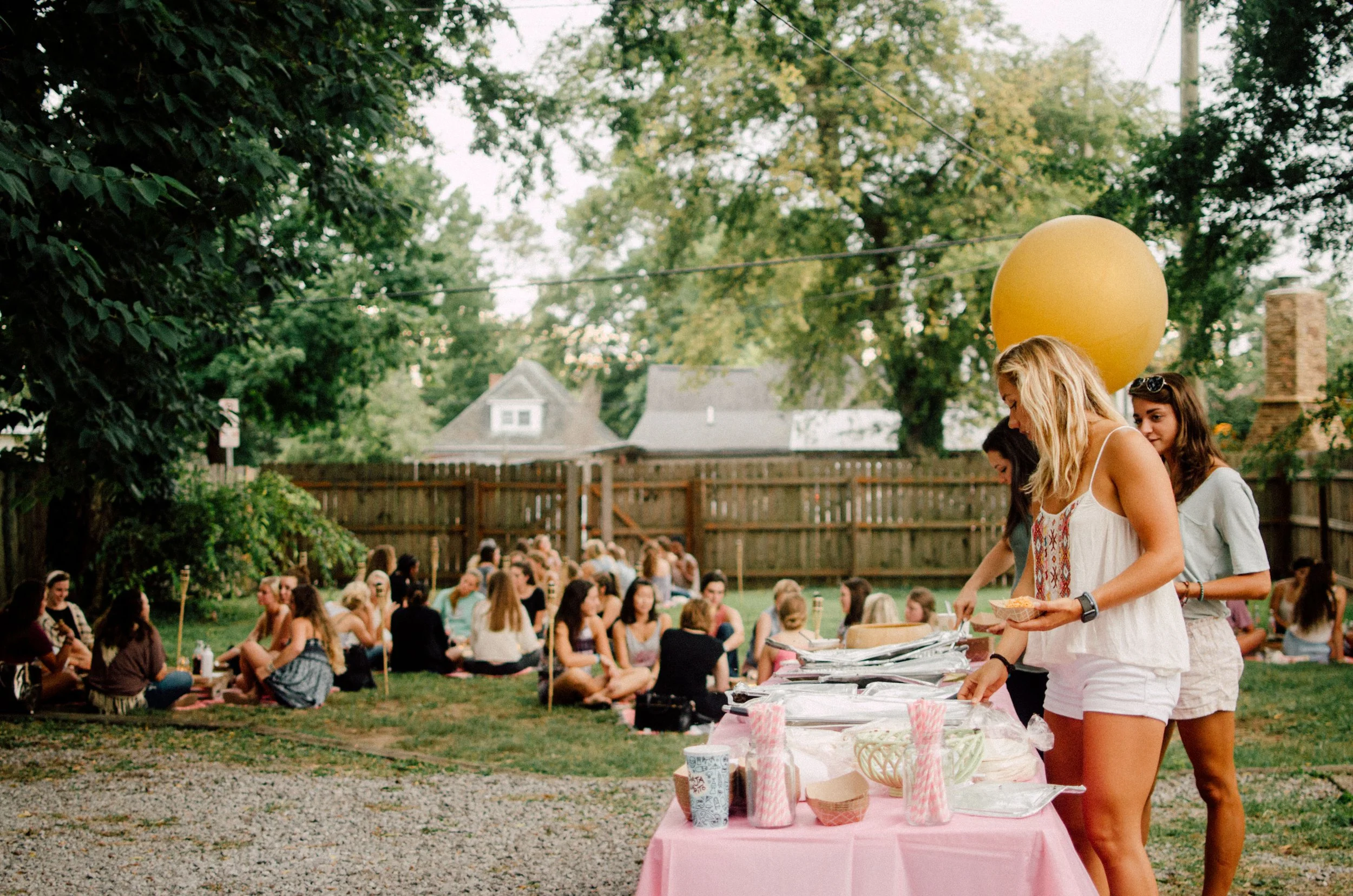 d163-outdoor-picnic-party.jpg