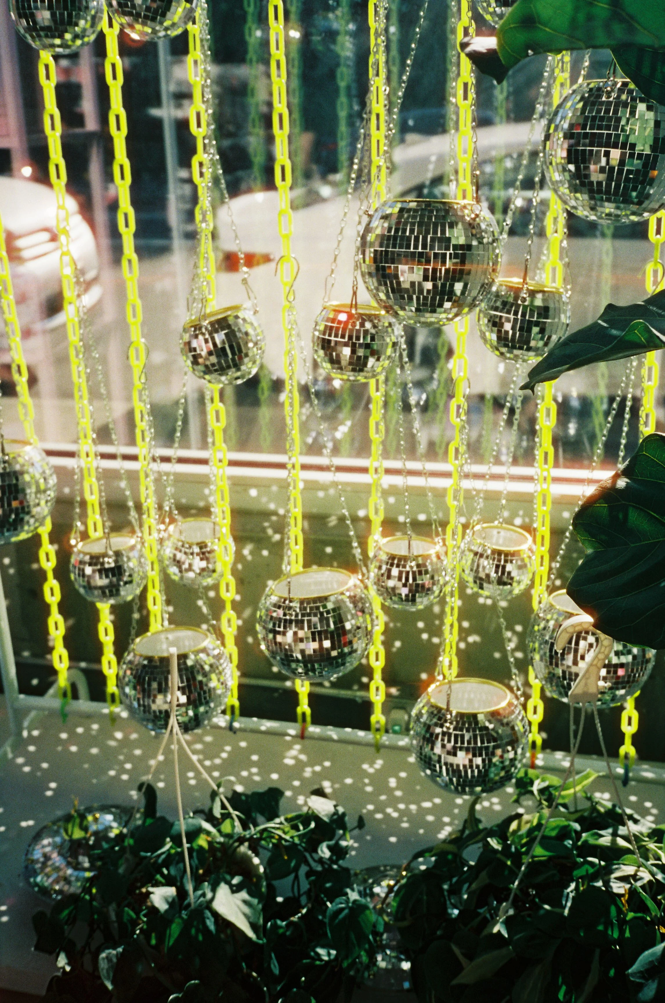 pnw19-mini-disco-balls-in-sunlight-plants.jpg