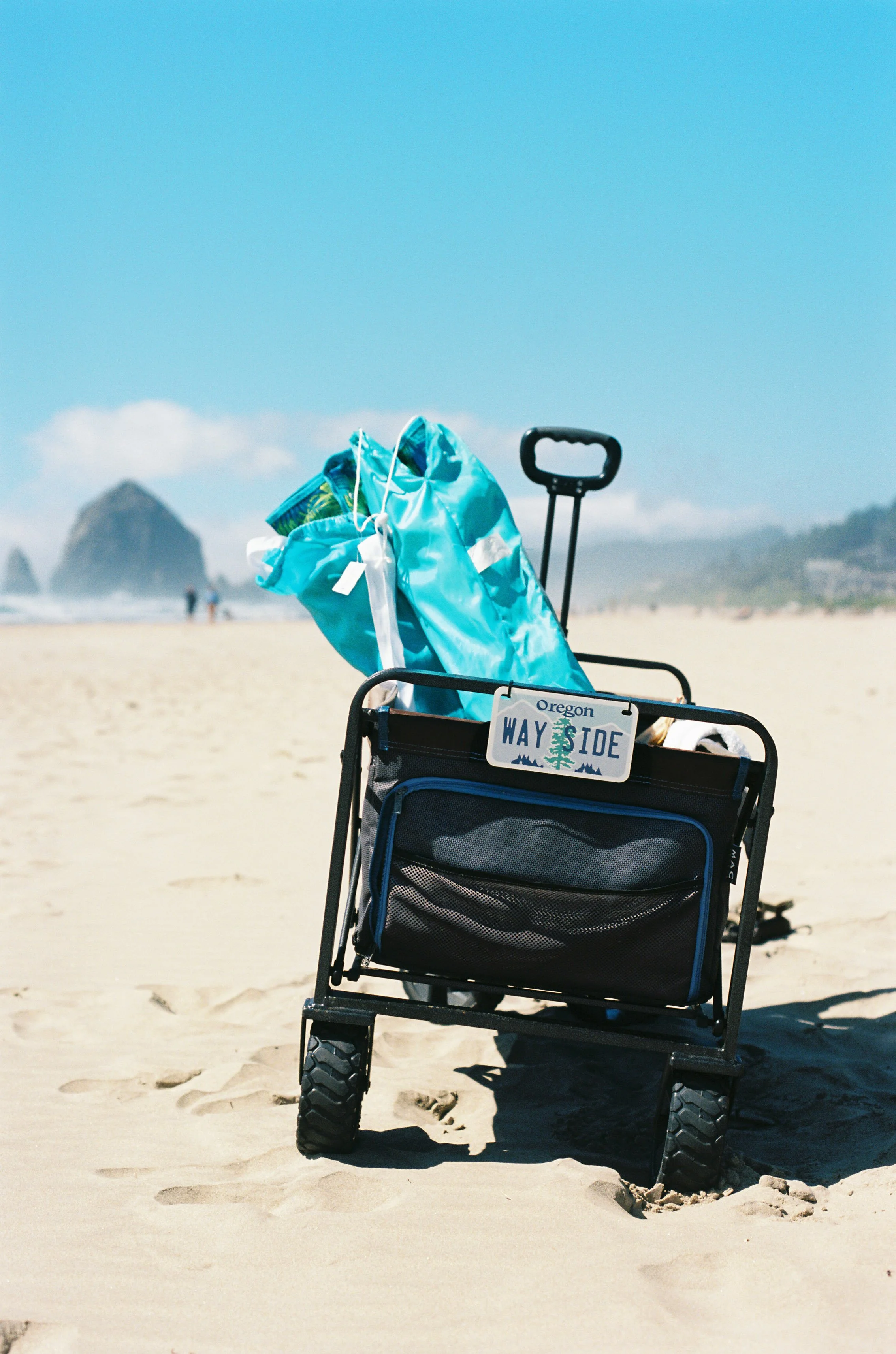 pnw43-cannon-beach-wagon.jpg