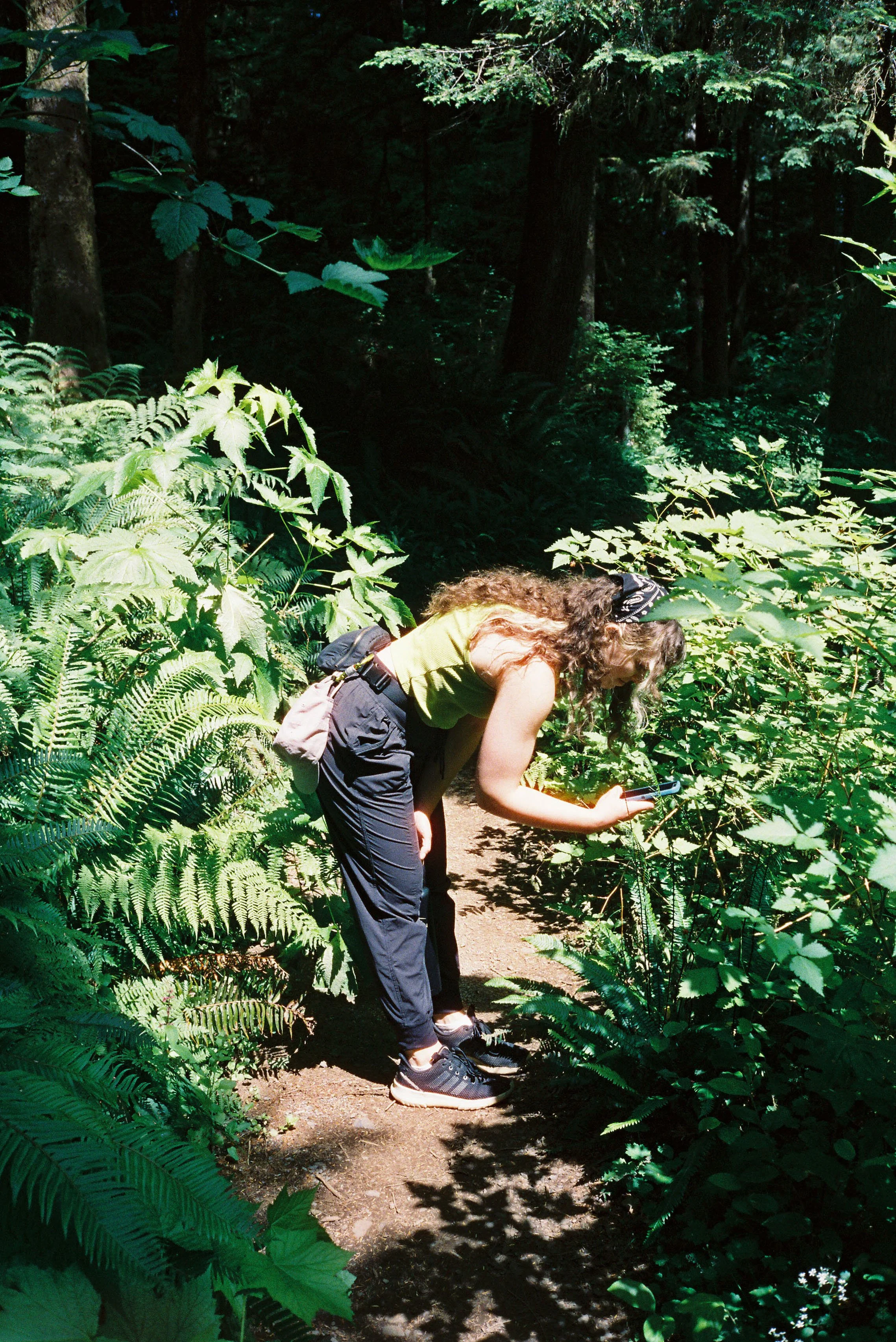 pnw99-woman-taking-nature-photos-on-phone-quinault.jpg