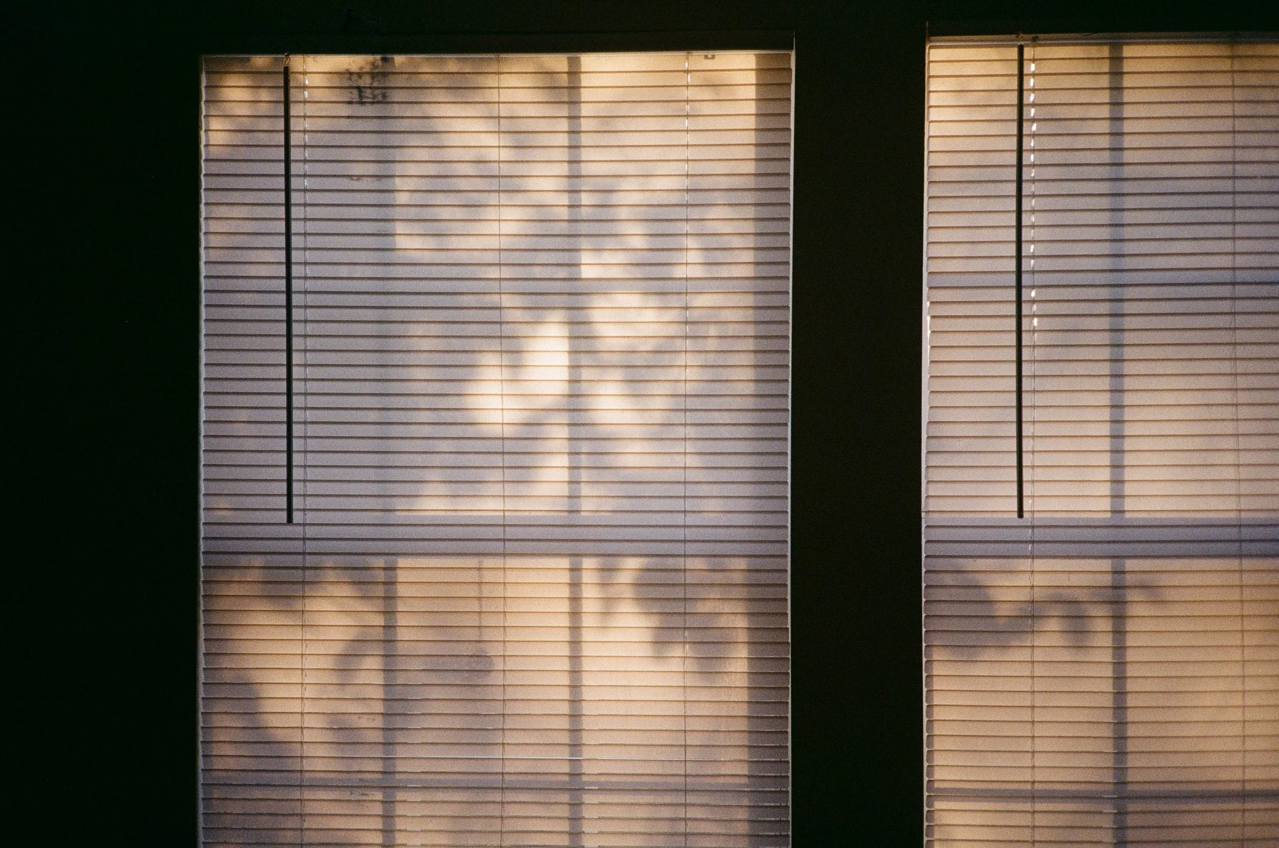 shadows-through-sunlight-on-window-blinds.jpg
