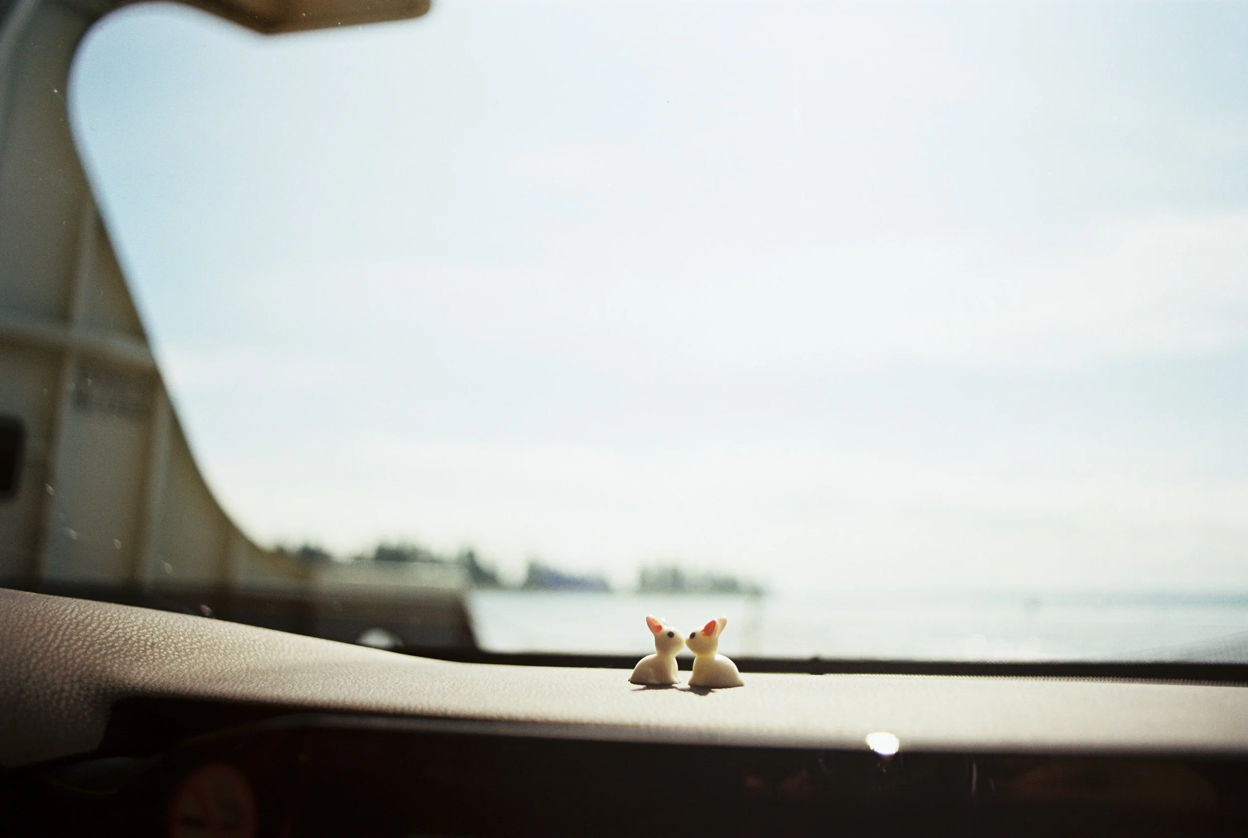 pnw177-pocketbunnies-on-dashboard-seattle-ferry.jpg