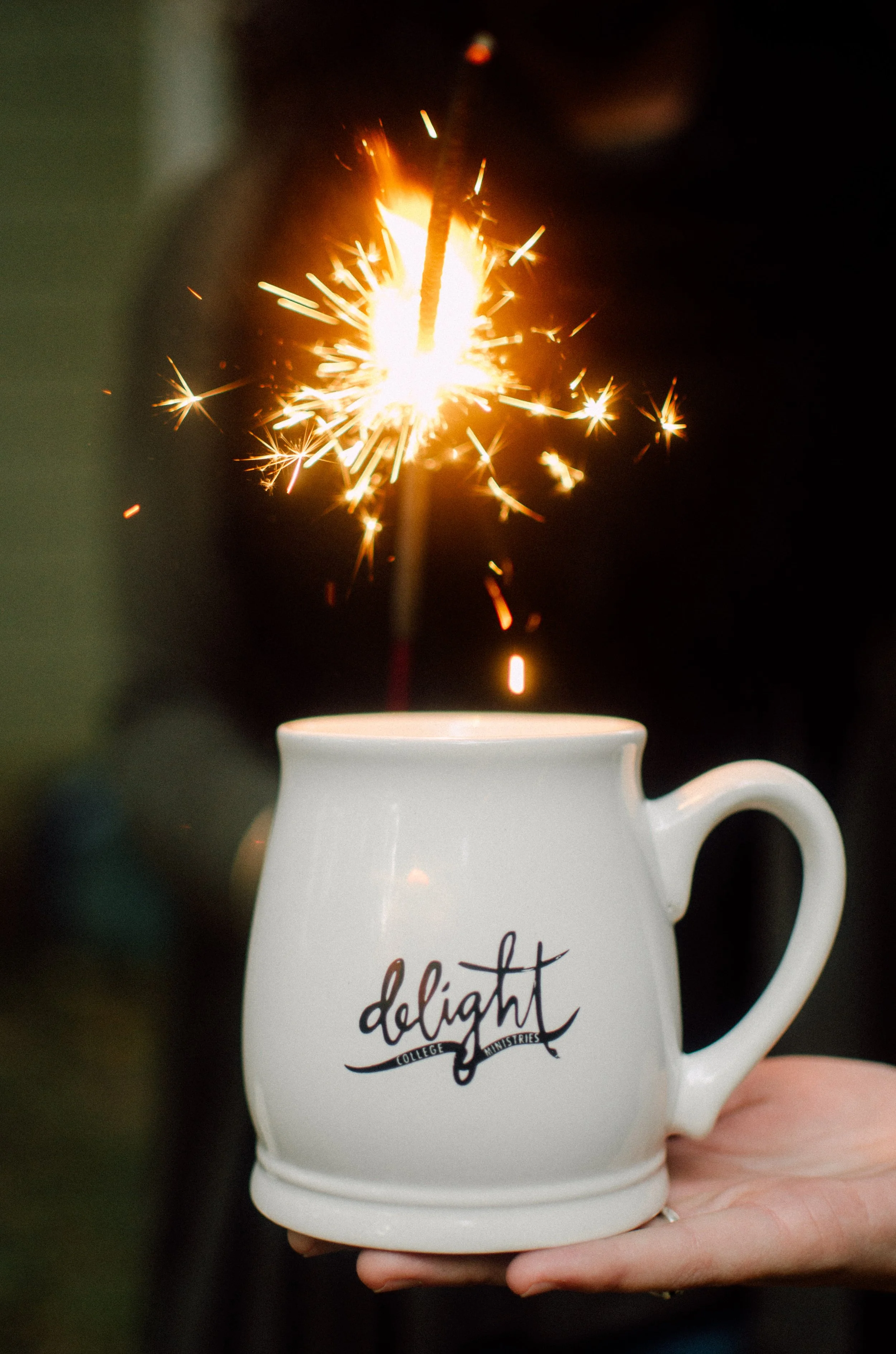 d111-delight-ministries-mug.jpg