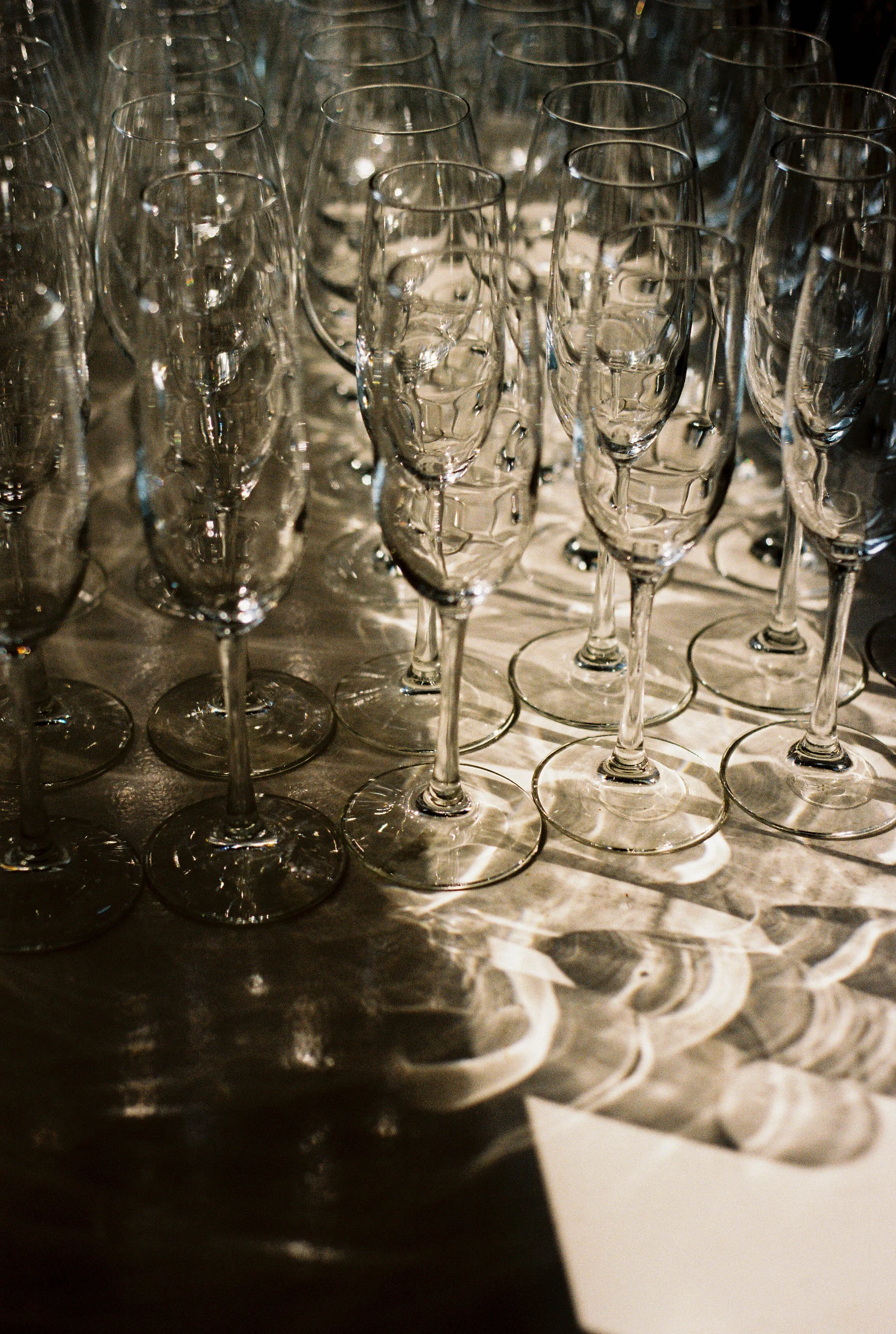 HRF60-glassware-in-sunlight.jpg