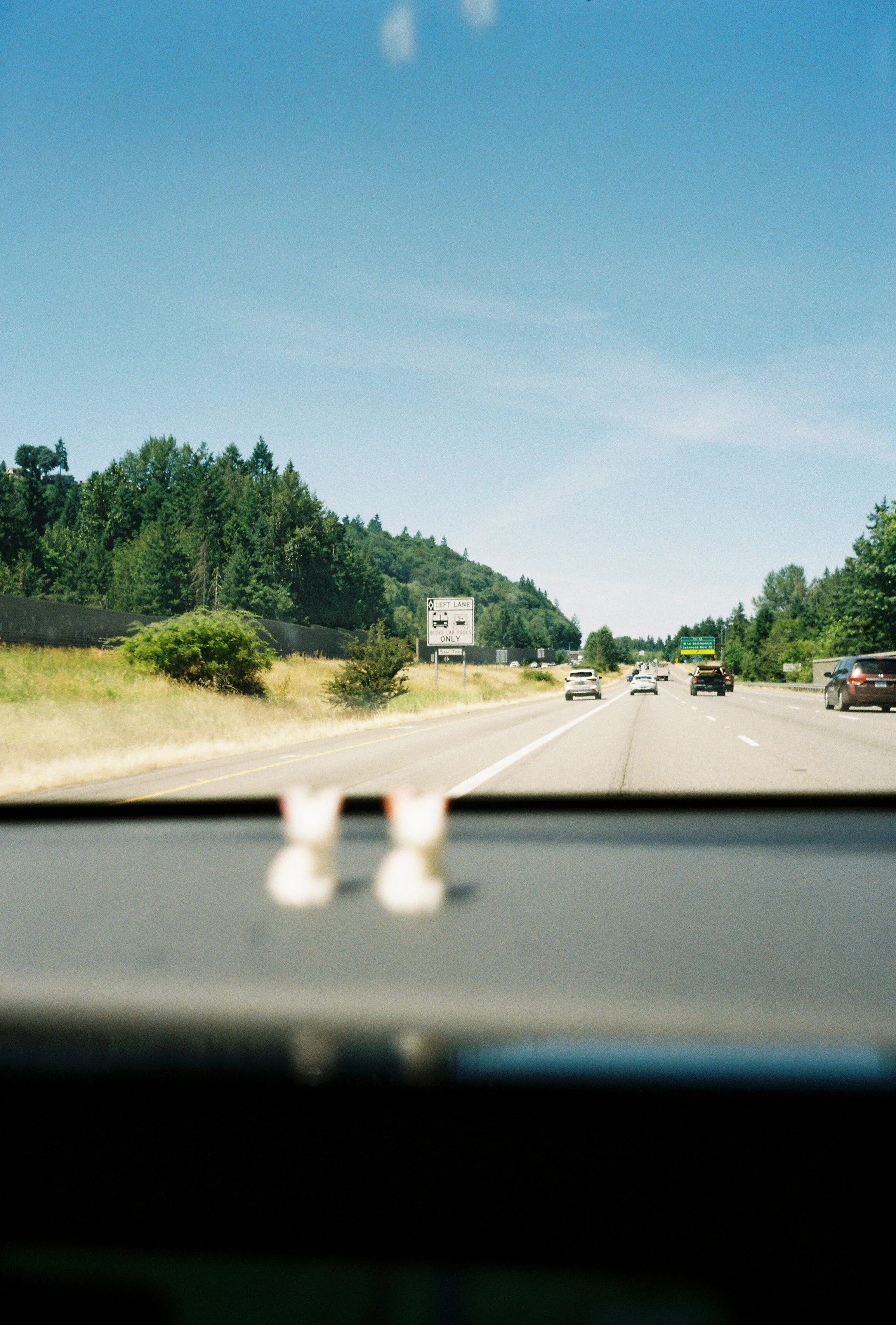 pnw228-two-pocketbunnies-sitting-on-dashboard-blue-sky.jpg