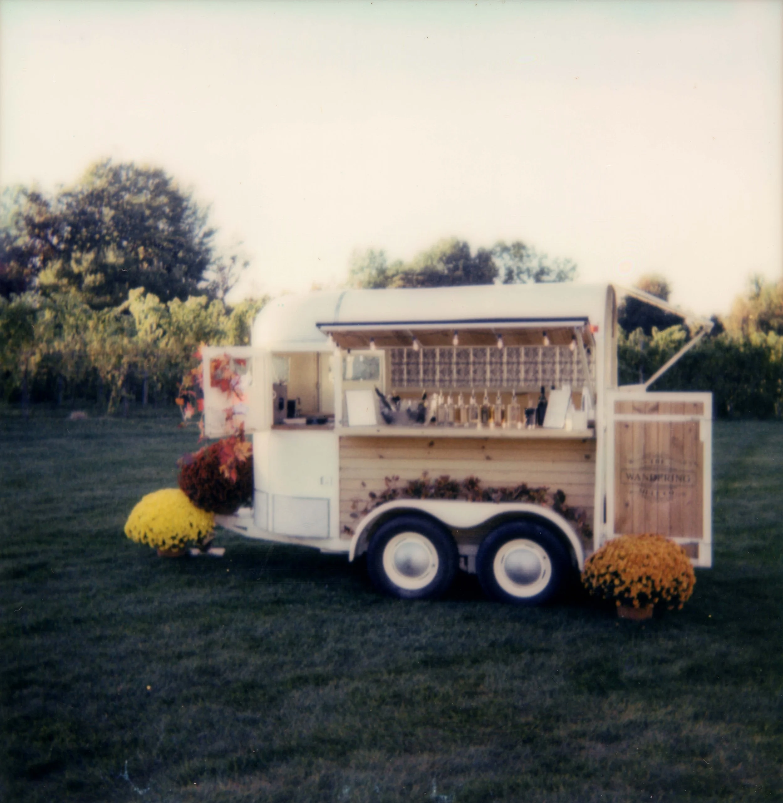 LBW117-bar-cart-wedding-reception-polaroid.jpg