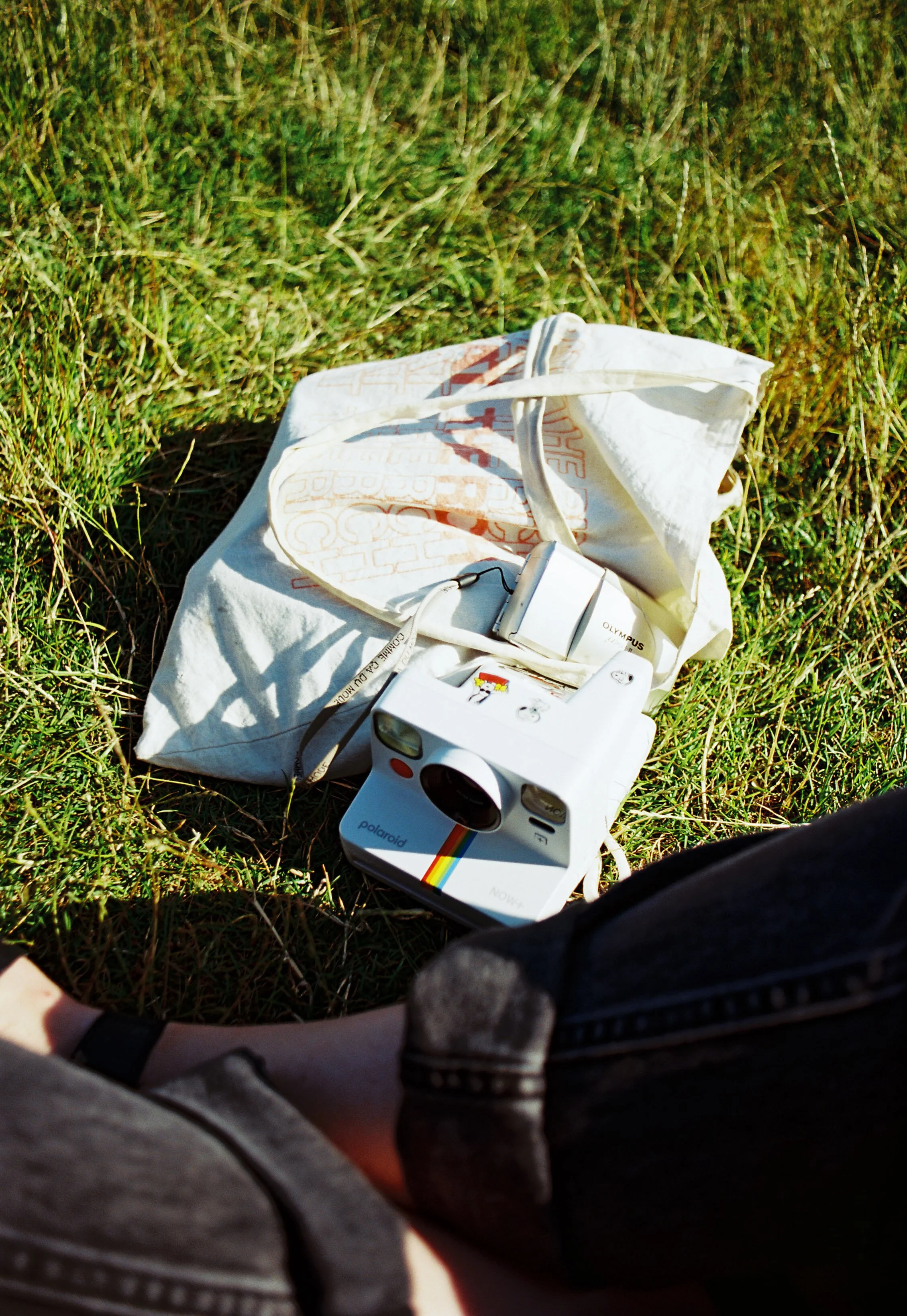 pnw196-polaroid-tote-bag-on-grass.jpg