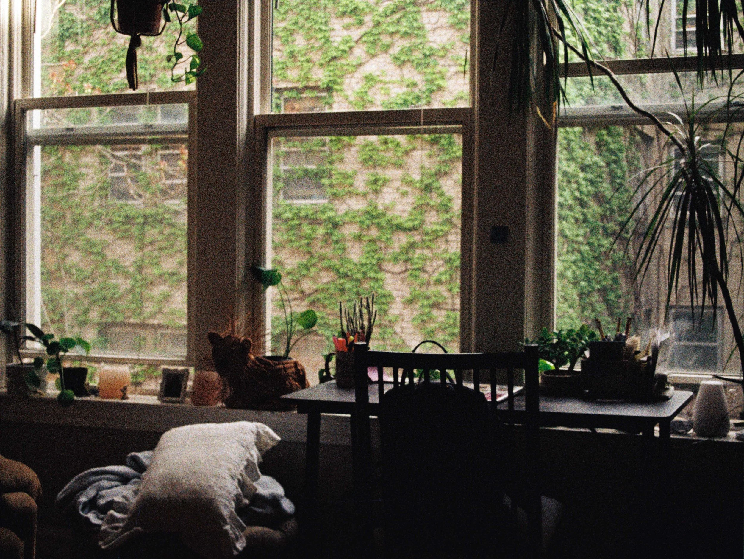 apartment-window-ivy-milwaukee.jpg