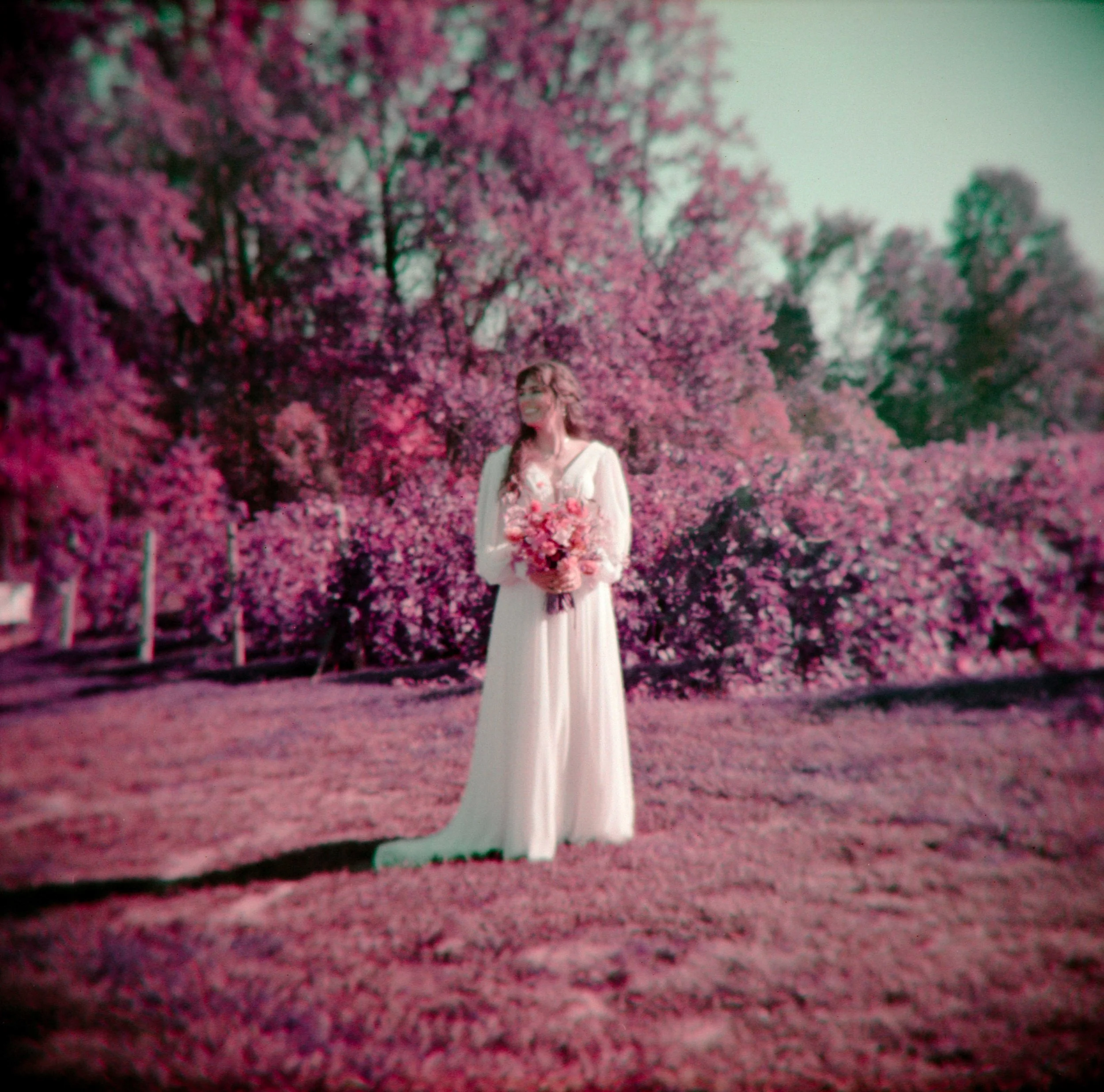 LBW88-bridal-portrait-in-vineyard-wedding-lomo-purple.jpg