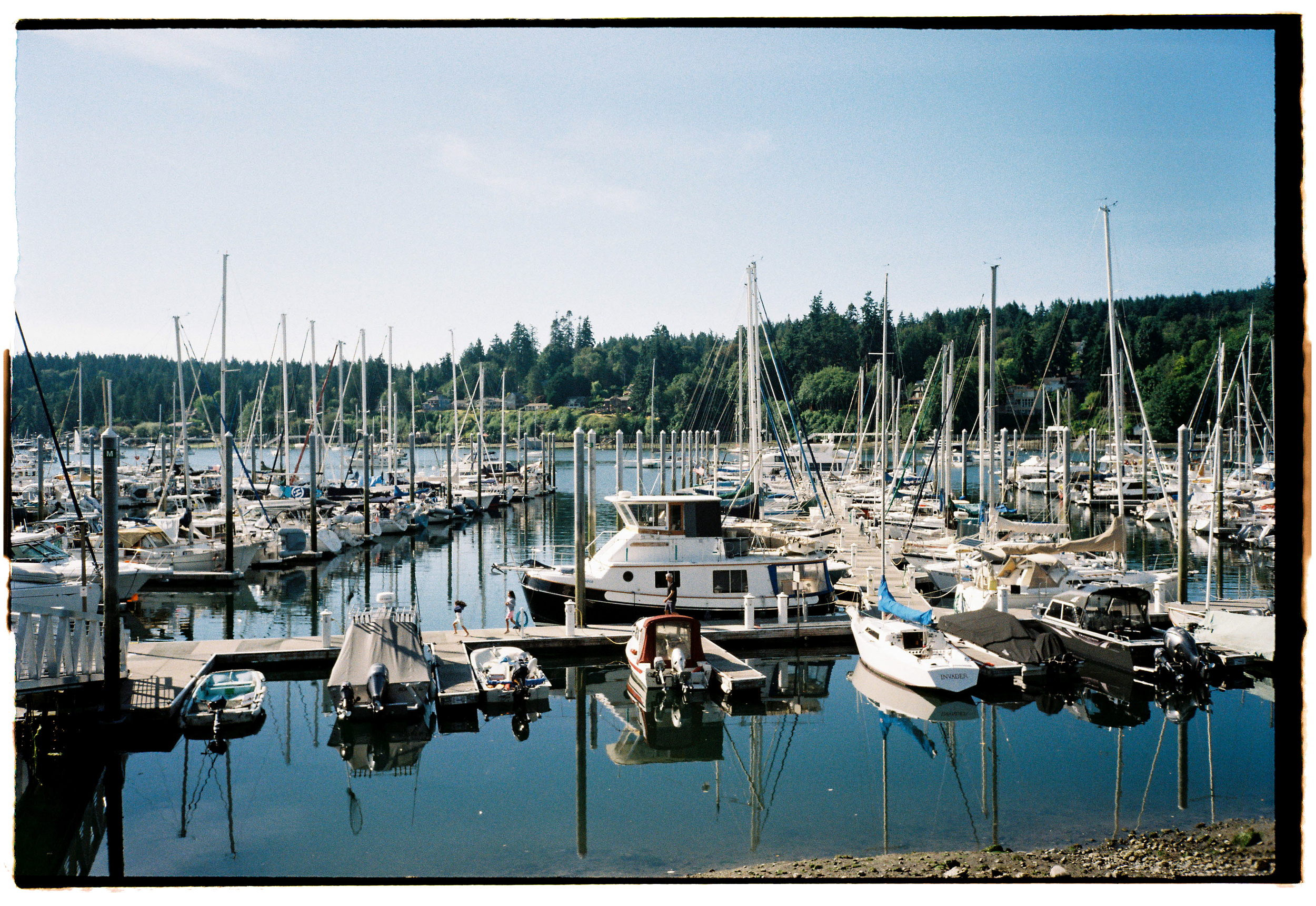 pnw211-bainbridge-harbor-boats-in-water.png