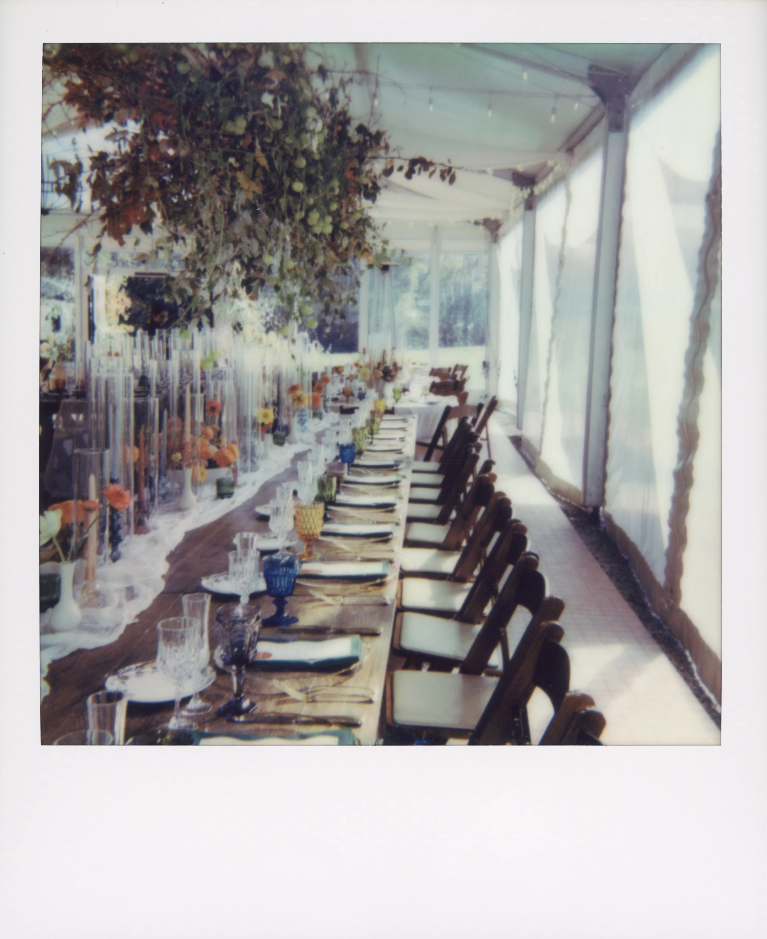 LBW78-wedding-reception-seating-table-on-polaroid.jpg